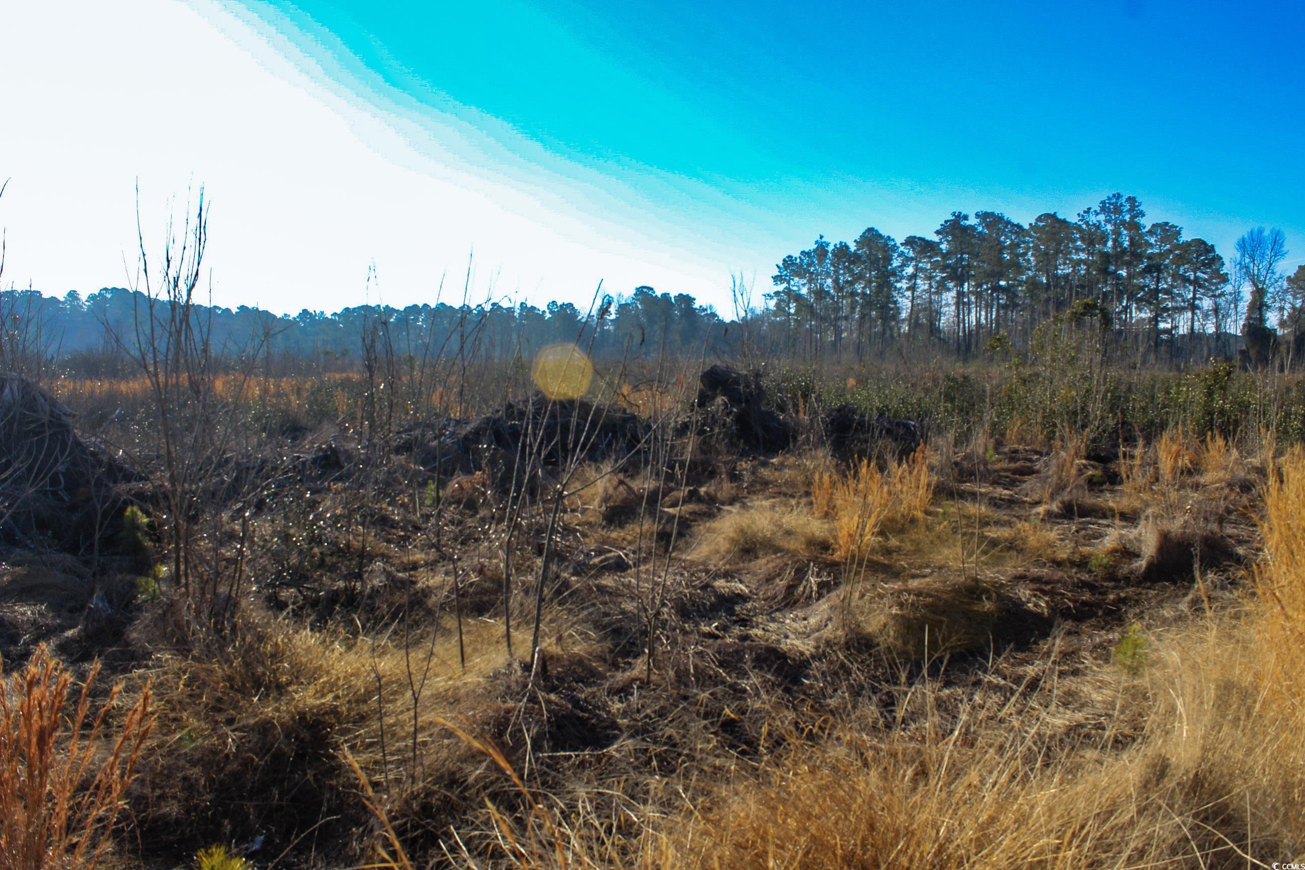 Tbd Penderboro Rd. Property Photo 15