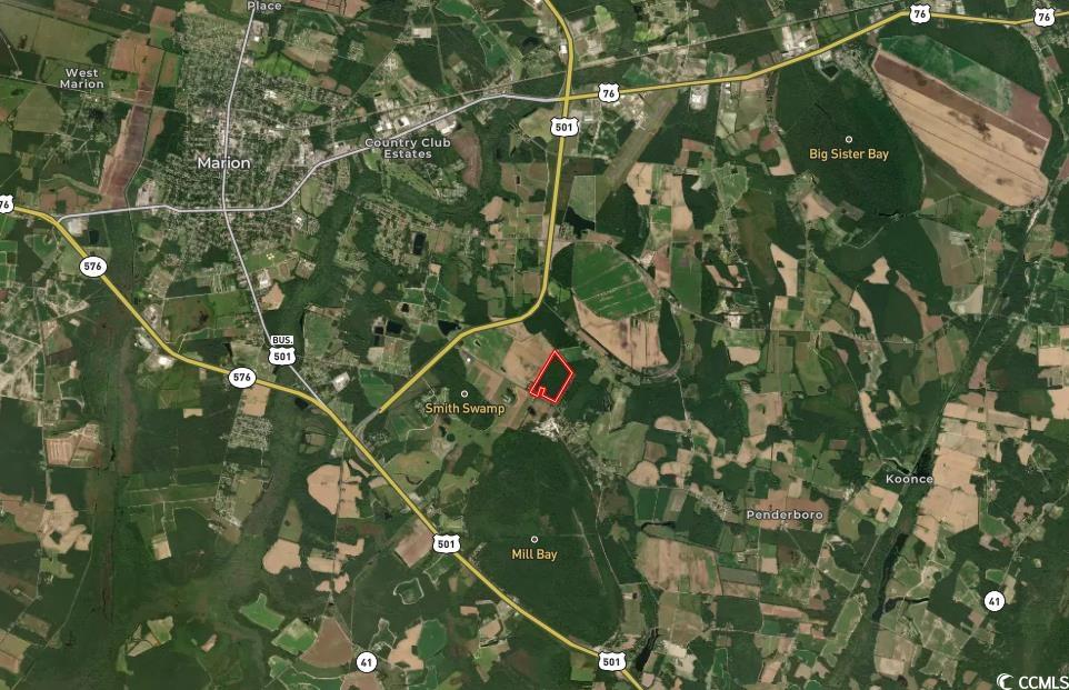 Tbd Penderboro Rd. Property Photo 18