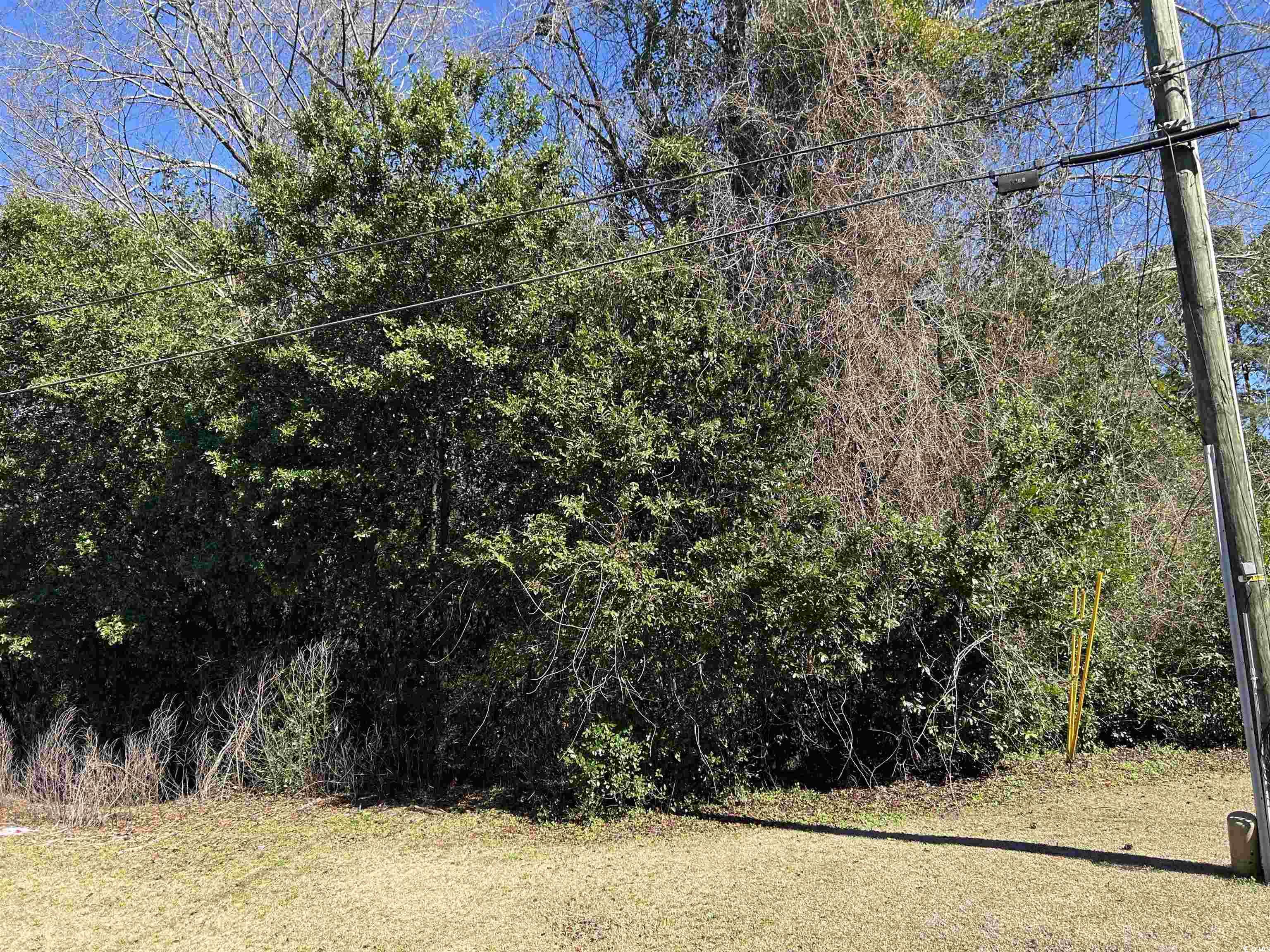 Tbd Legion St. Property Photo 4
