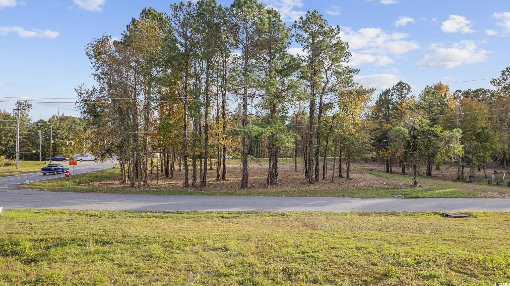 Tbd Mill Pond Rd. Property Photo 14