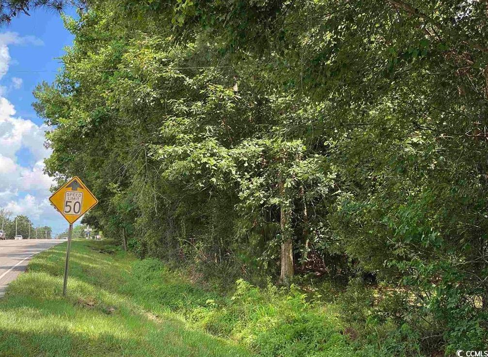 Tbd Highway 378 Property Photo 5