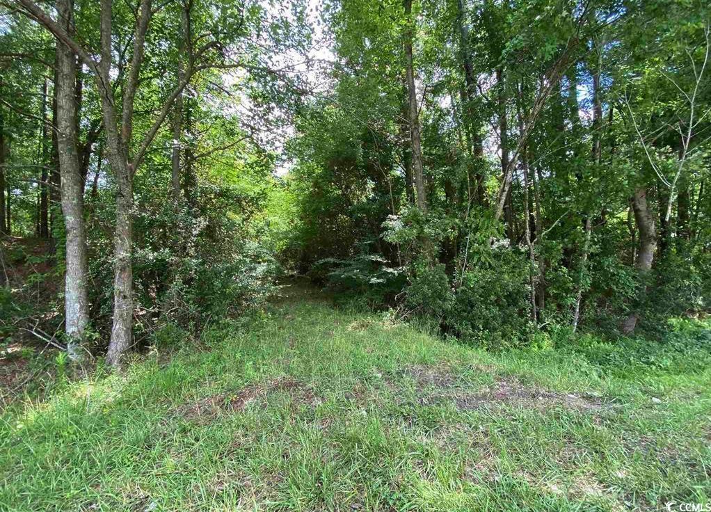 Tbd Highway 378 Property Photo 6