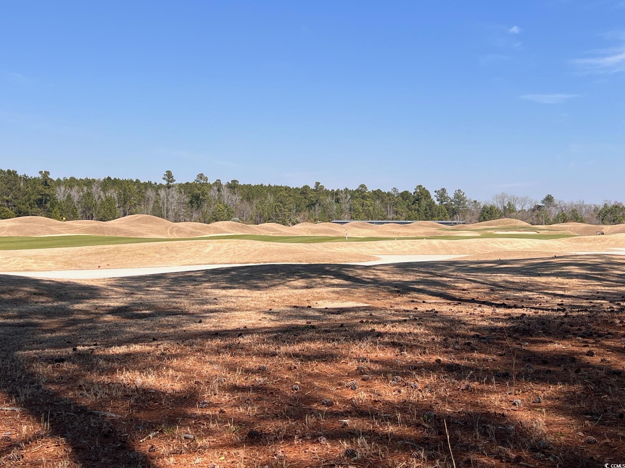 104 Long Bay Golf Pl. Property Photo 6