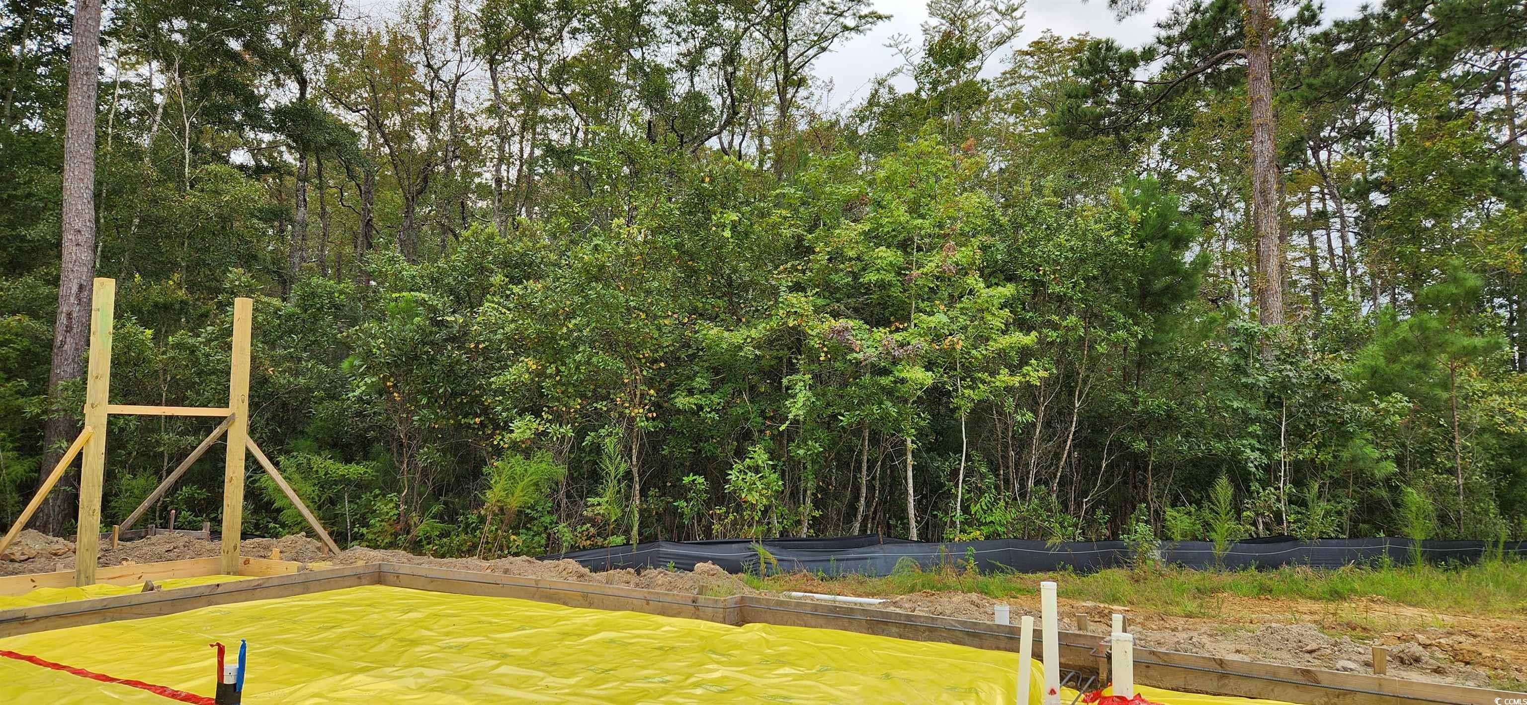 1407 Gooseneck Place Property Photo 33