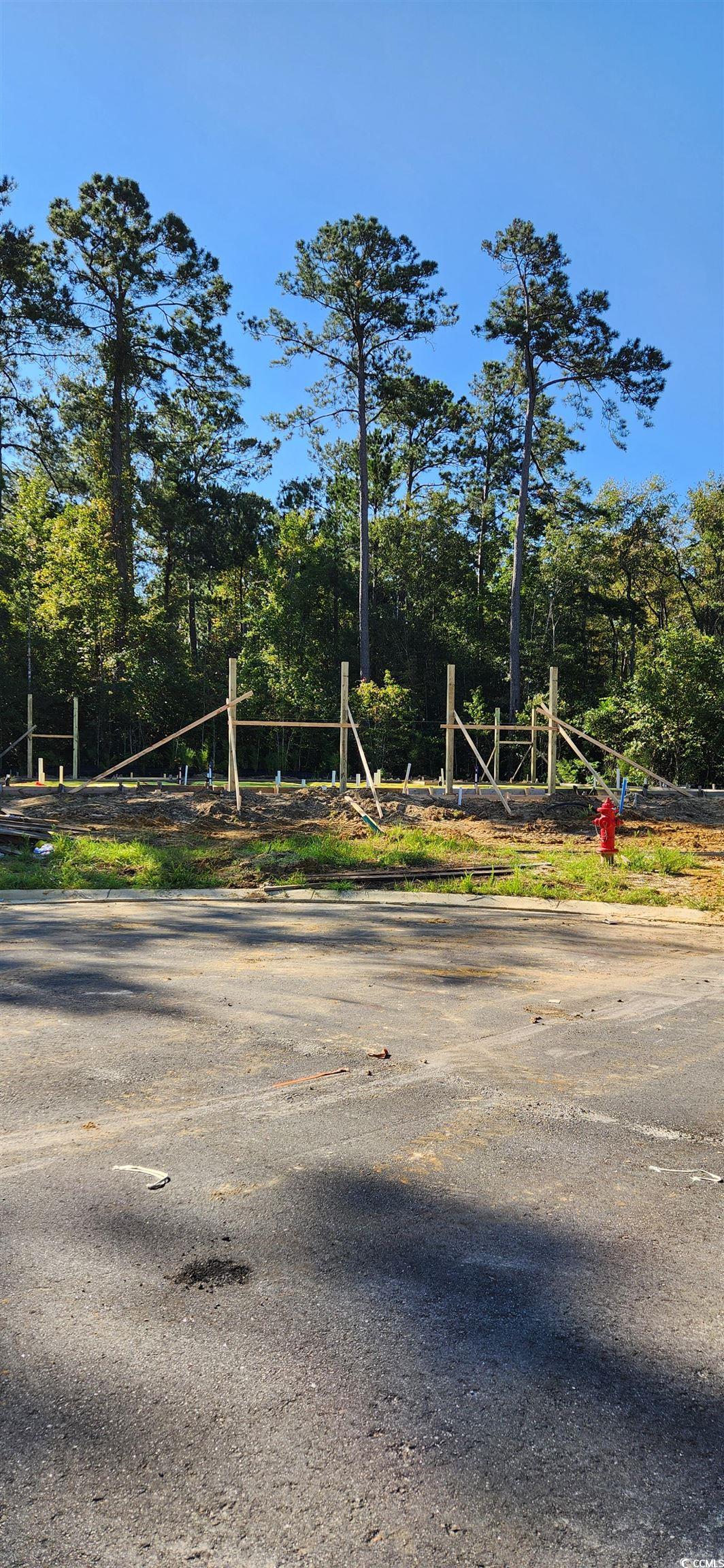 1407 Gooseneck Place Property Photo 34