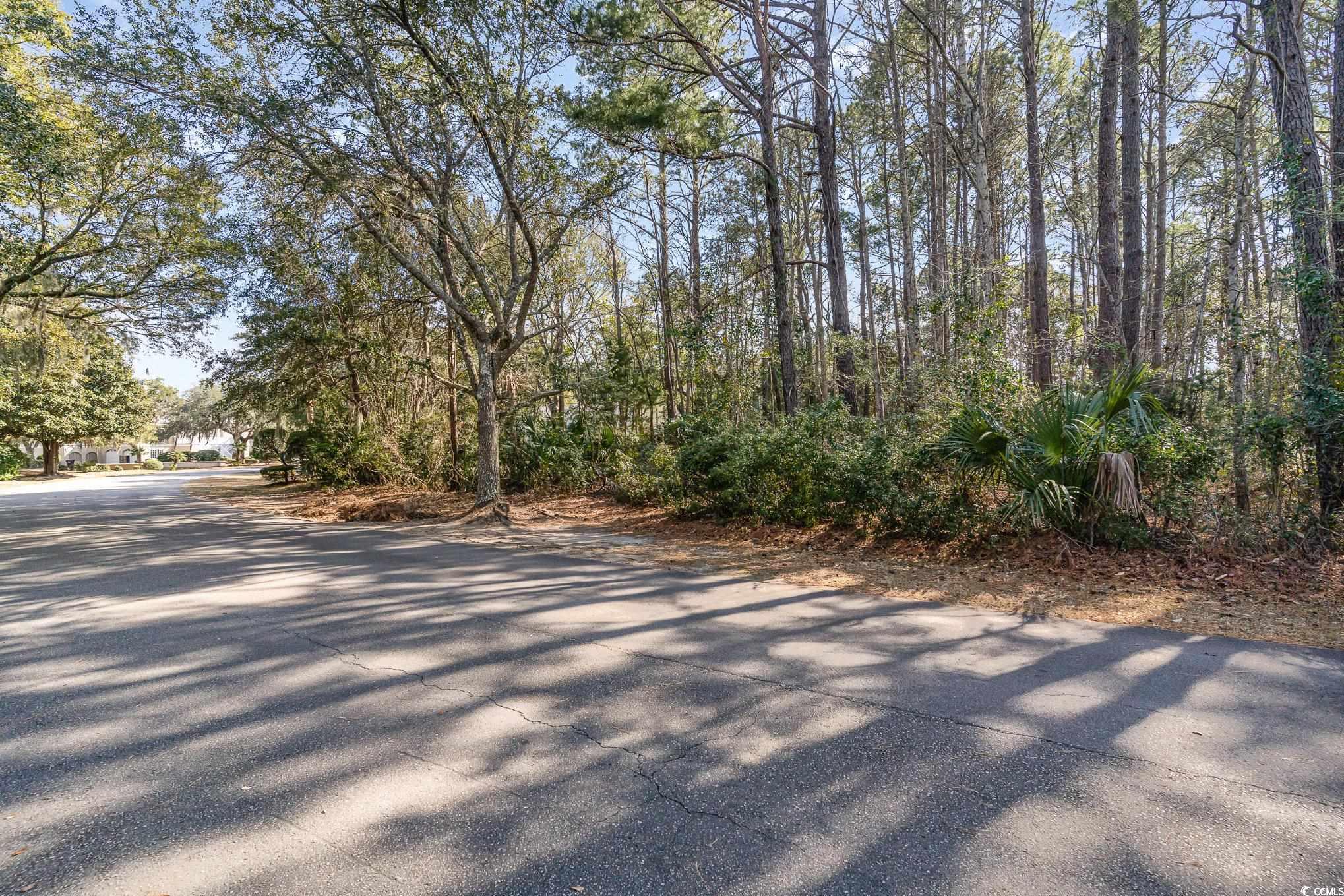 Lot 114 Collins Meadow Dr. Property Photo 5