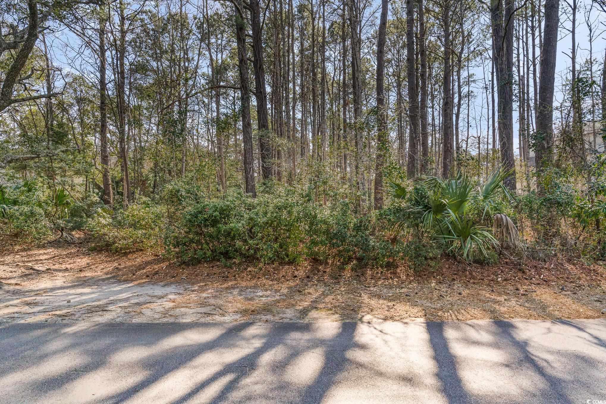 Lot 114 Collins Meadow Dr. Property Photo 6