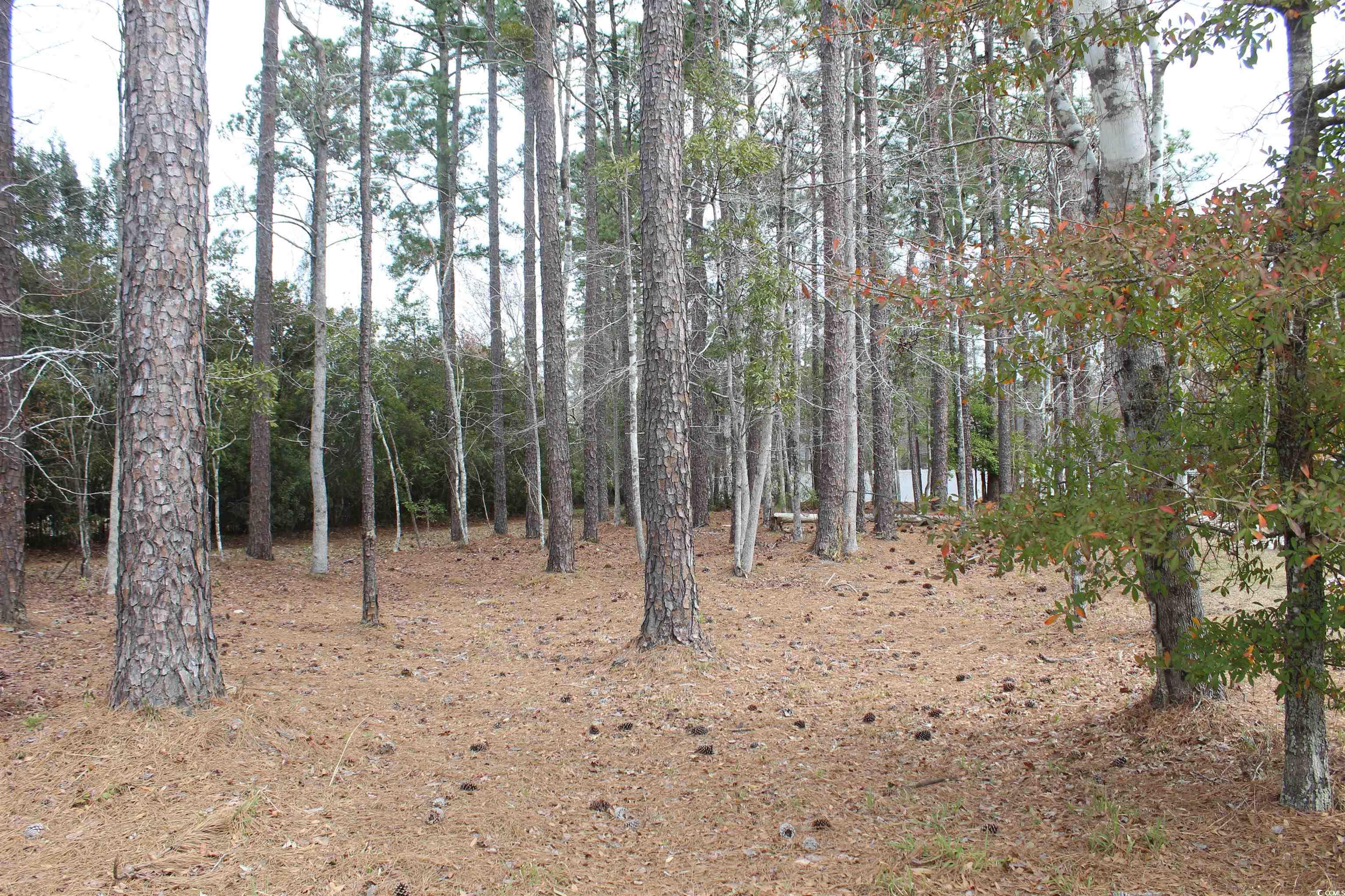 4001 Blackwood Ct. Property Photo 4