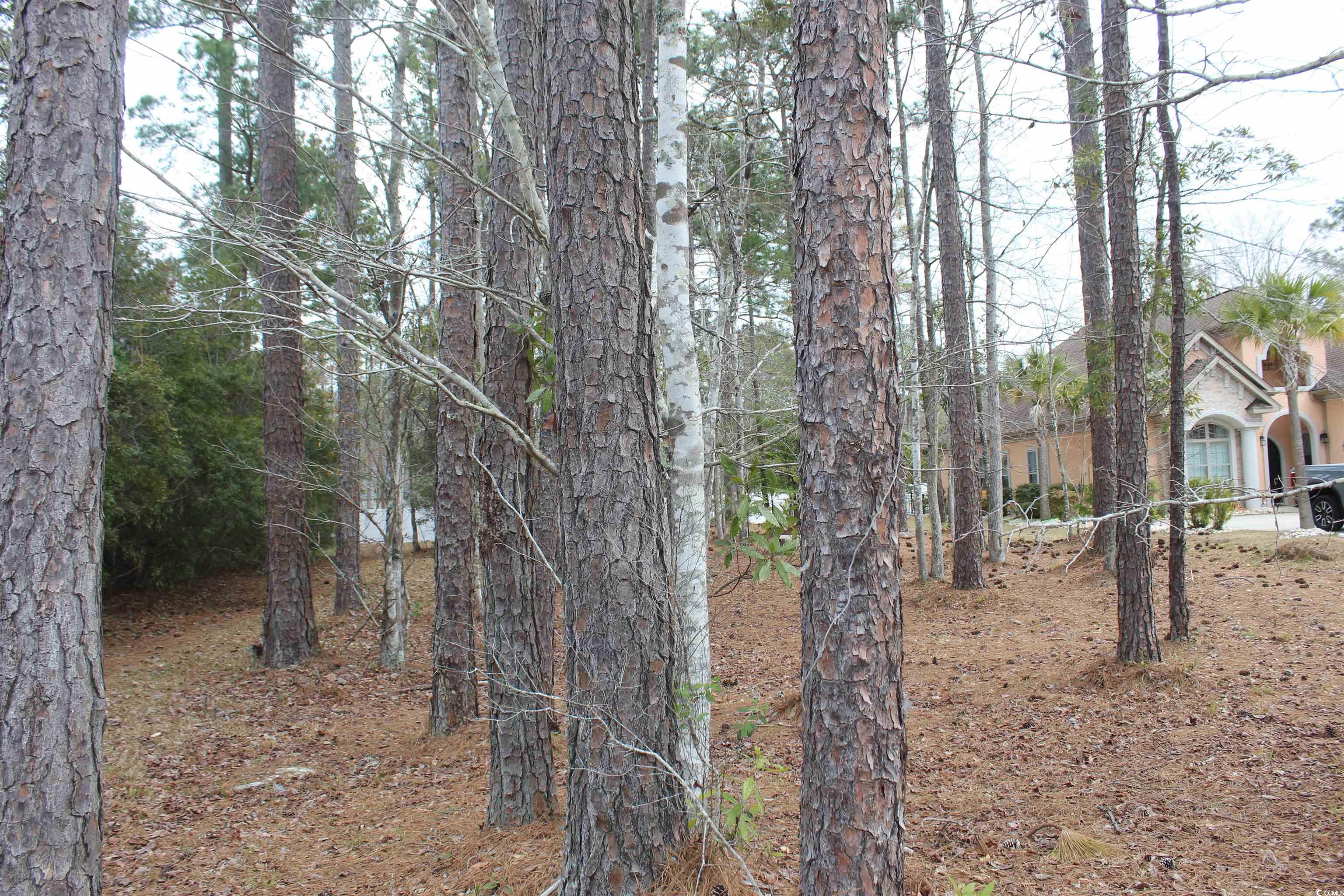 4001 Blackwood Ct. Property Photo 5