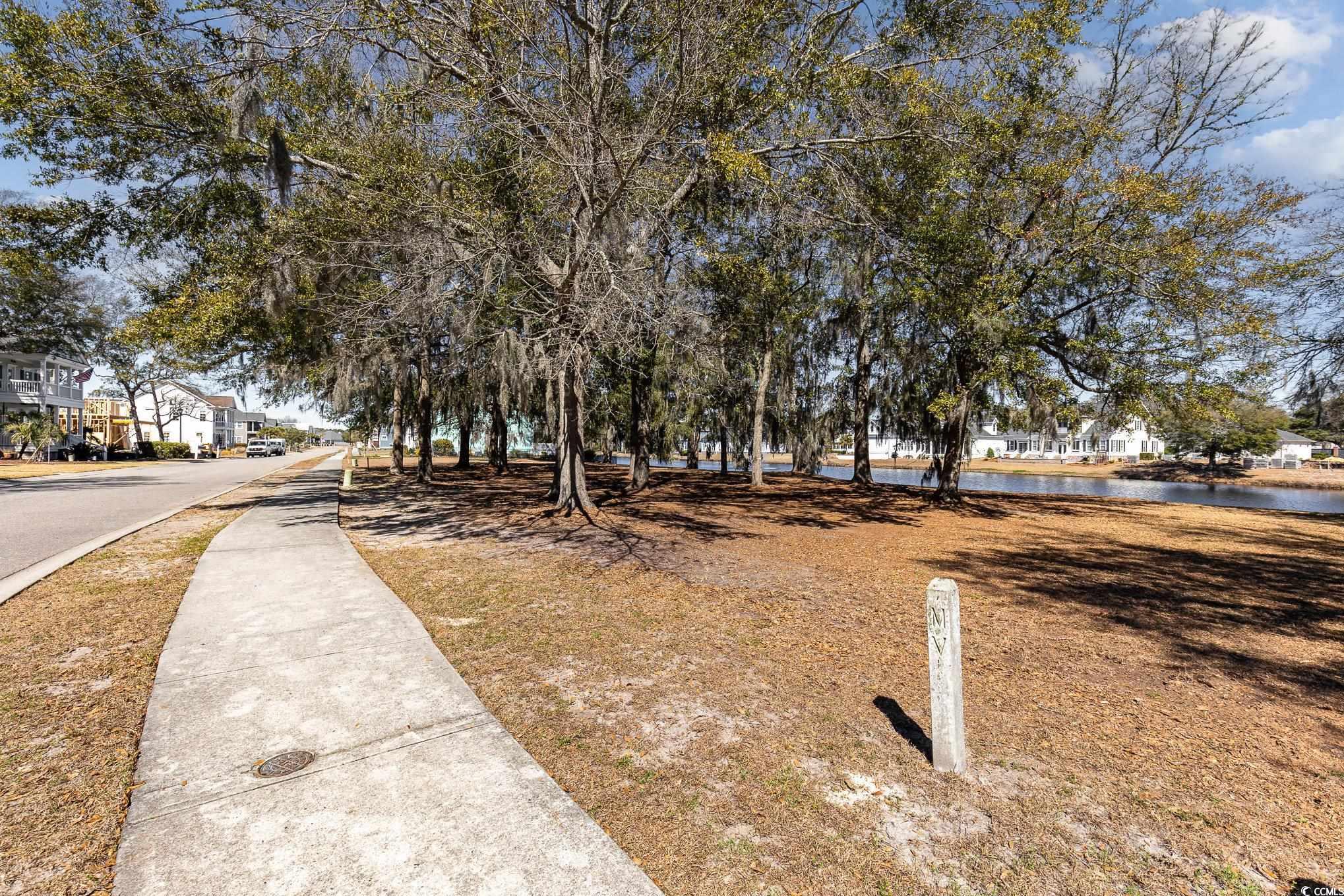 1003 Tarpon Pond Rd. Property Photo 3