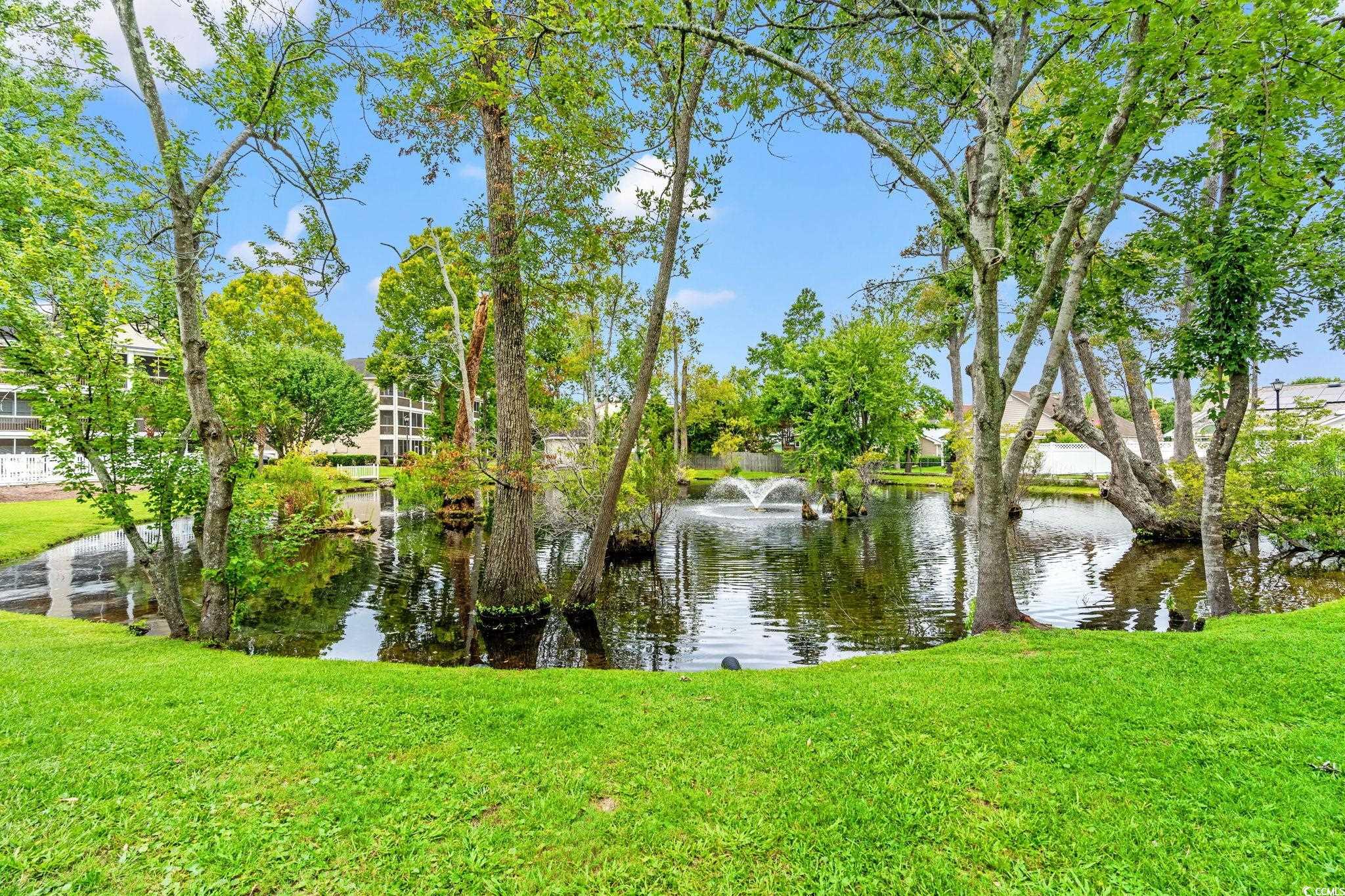 1058 Sea Mountain Hwy. Property Photo 26