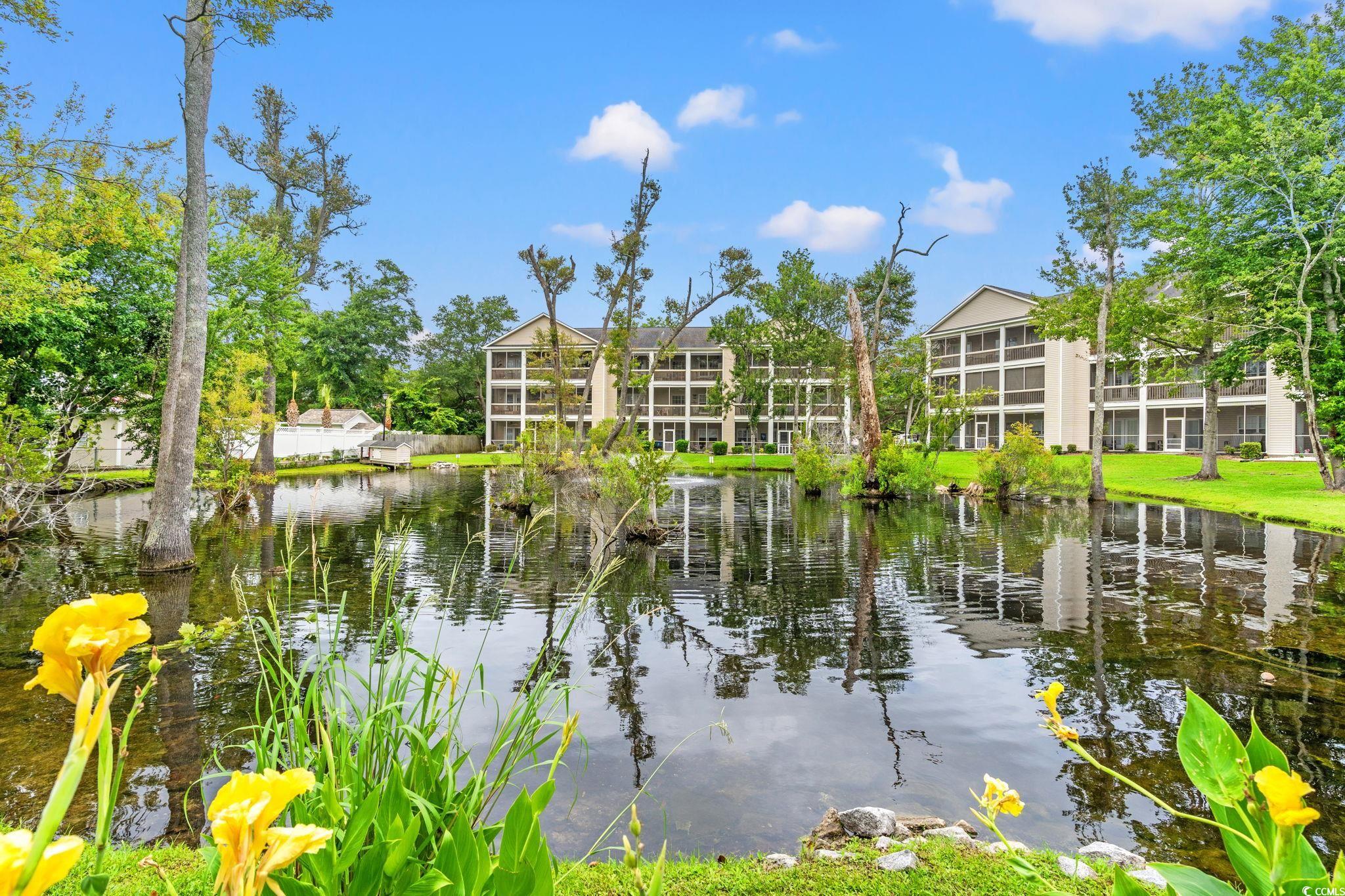 1058 Sea Mountain Hwy. Property Photo 28