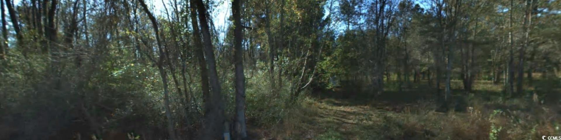 2940 Red Bluff Rd. Property Photo 7