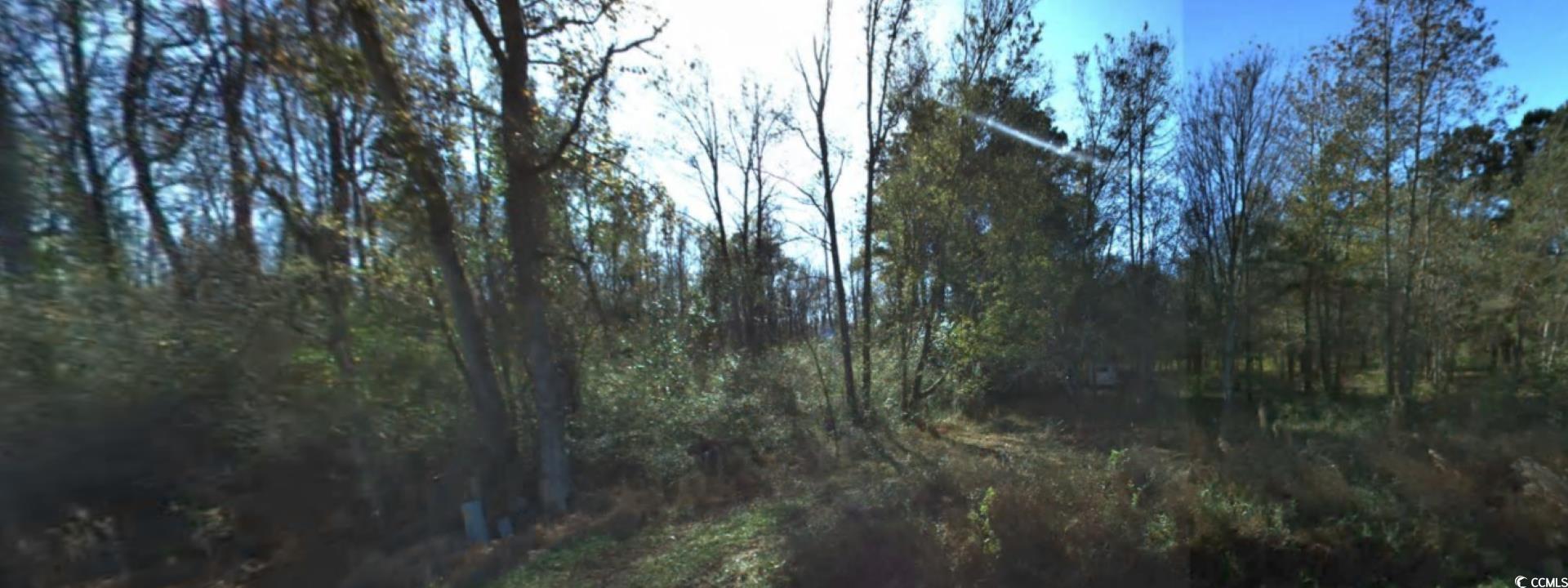 2940 Red Bluff Rd. Property Photo 8