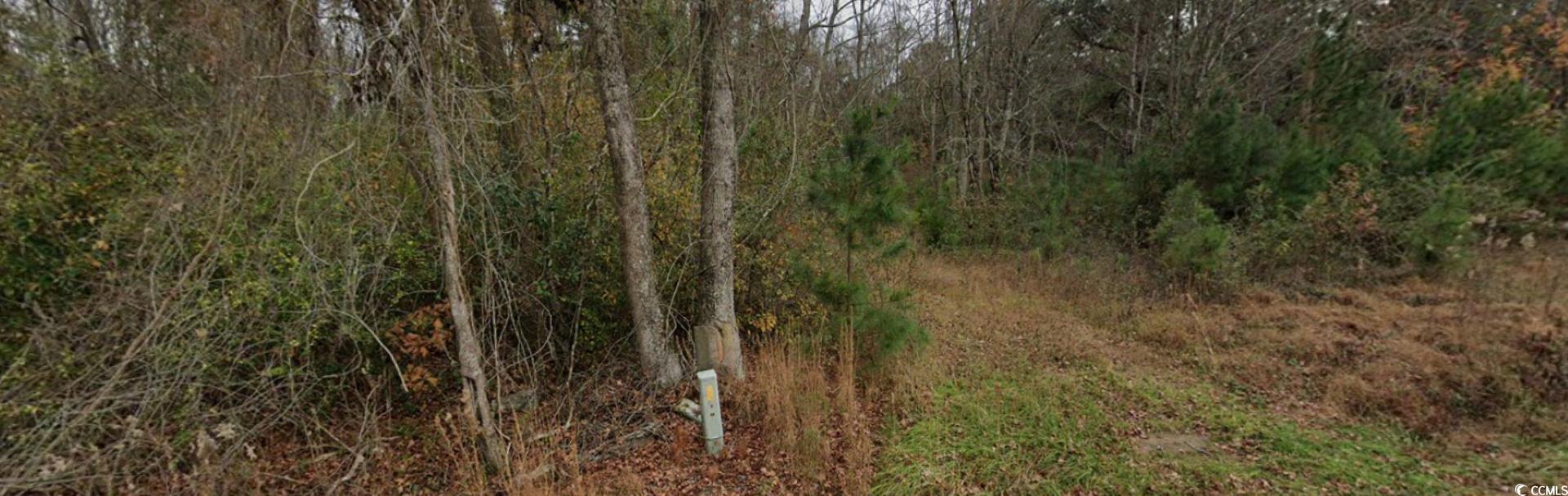 2940 Red Bluff Rd. Property Photo 12