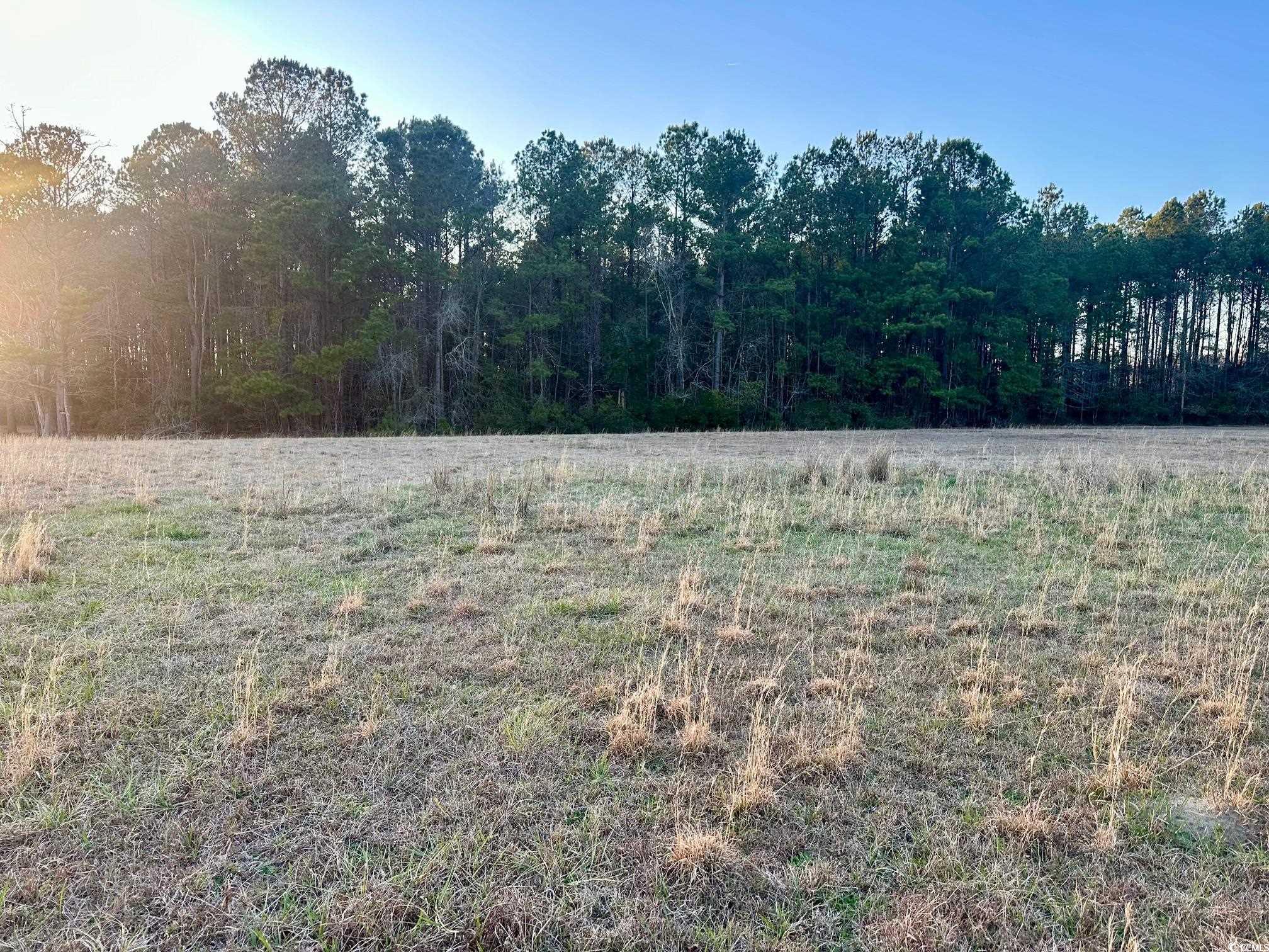 Tbd S Joe Brown Hwy. Property Photo 2