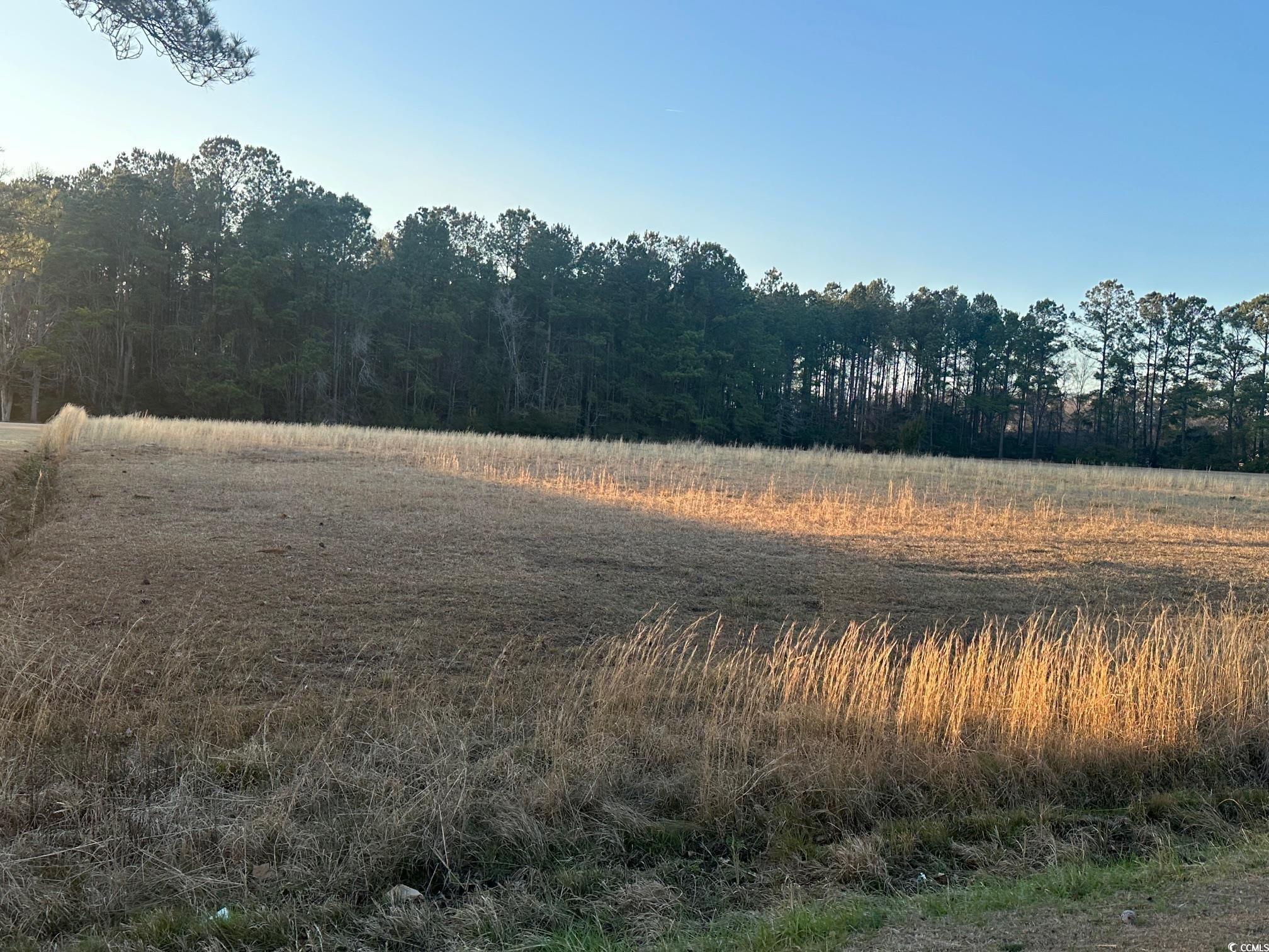 Tbd S Joe Brown Hwy. Property Photo 4