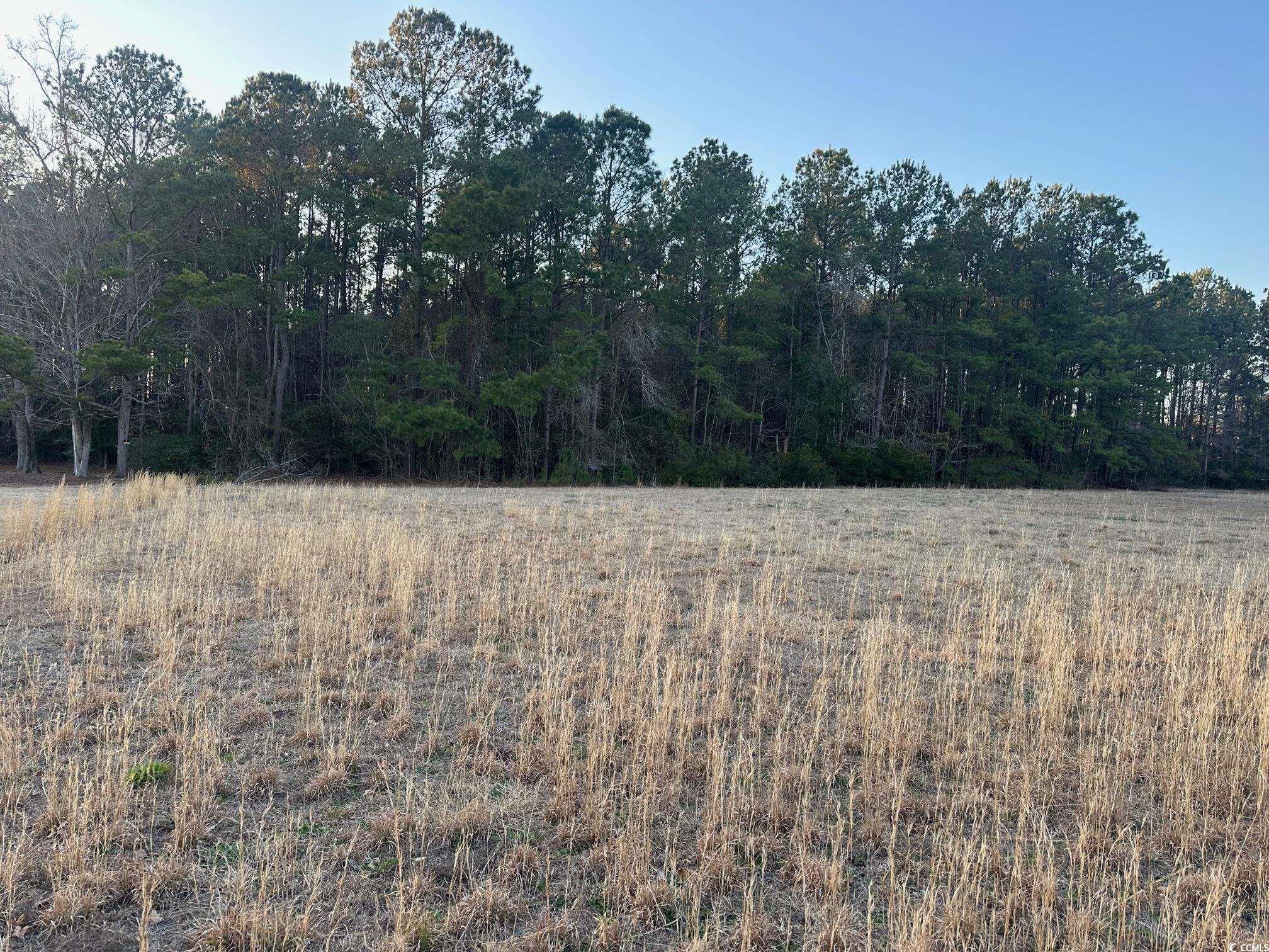 Tbd S Joe Brown Hwy. Property Photo 5