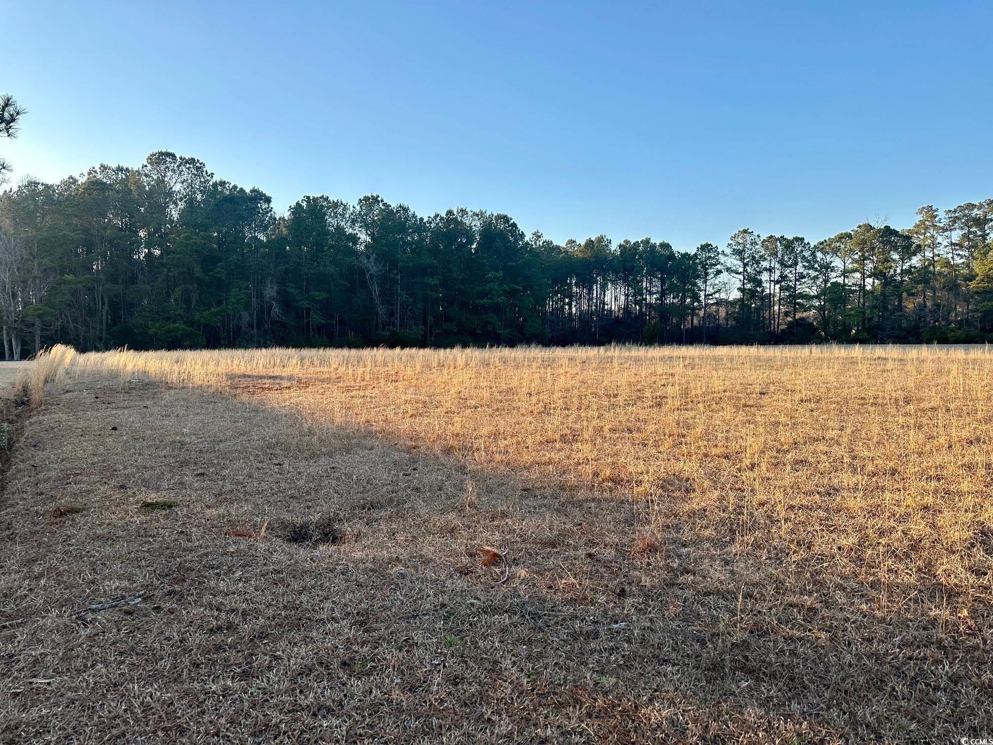 Tbd S Joe Brown Hwy. Property Photo 6
