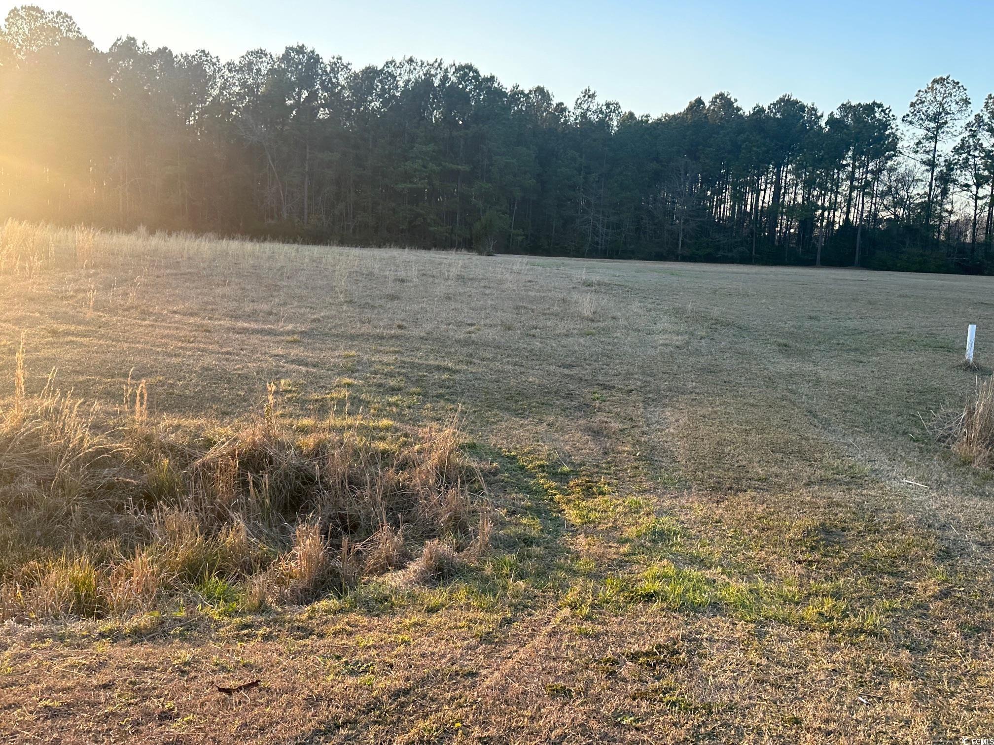 Tbd S Joe Brown Hwy. Property Photo 8