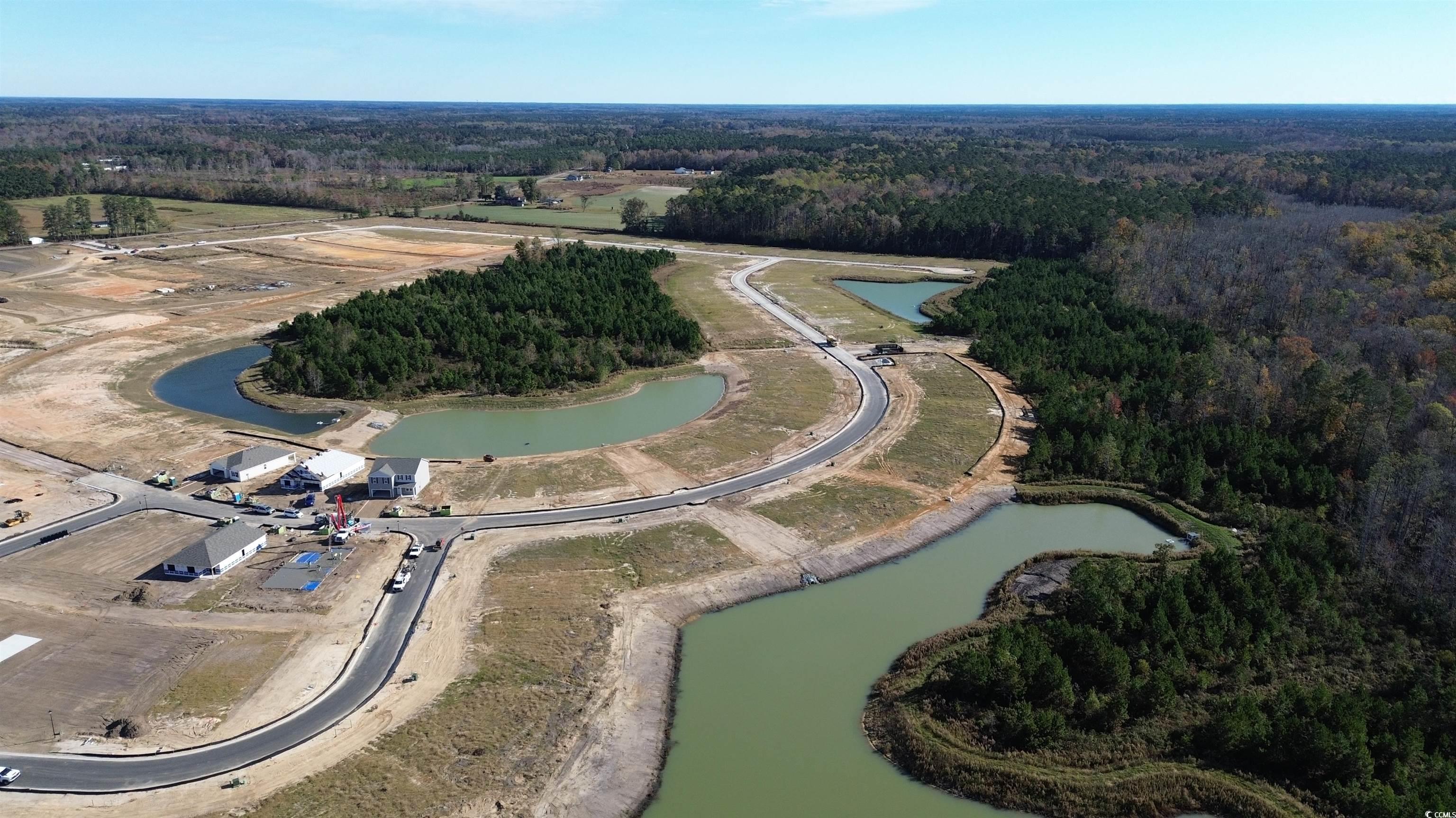 225 Carver Willow Dr. Property Photo 12