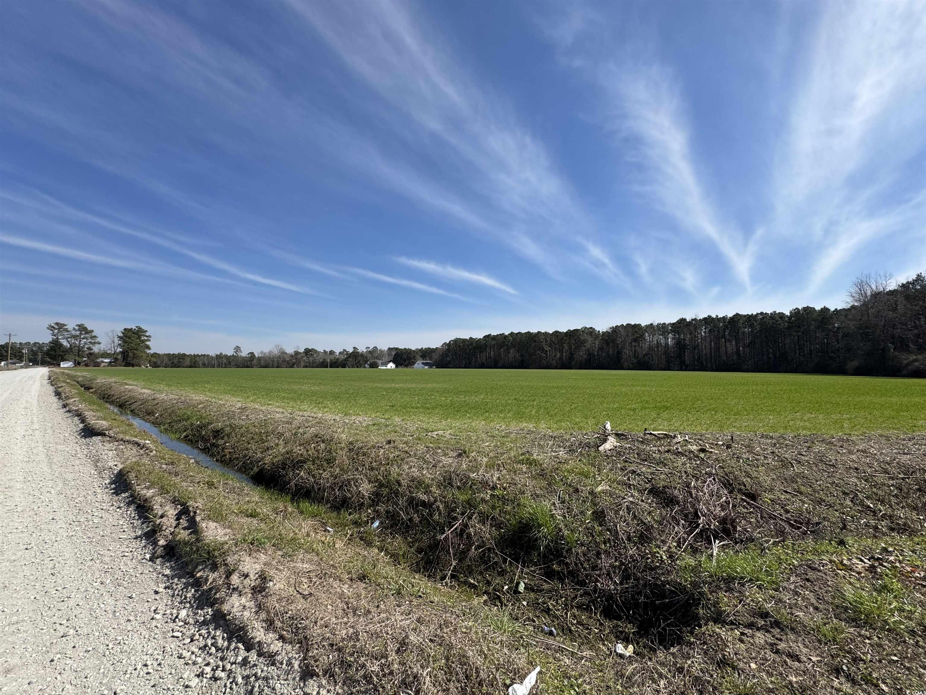 Tbd Nichols Hwy. Property Photo 8