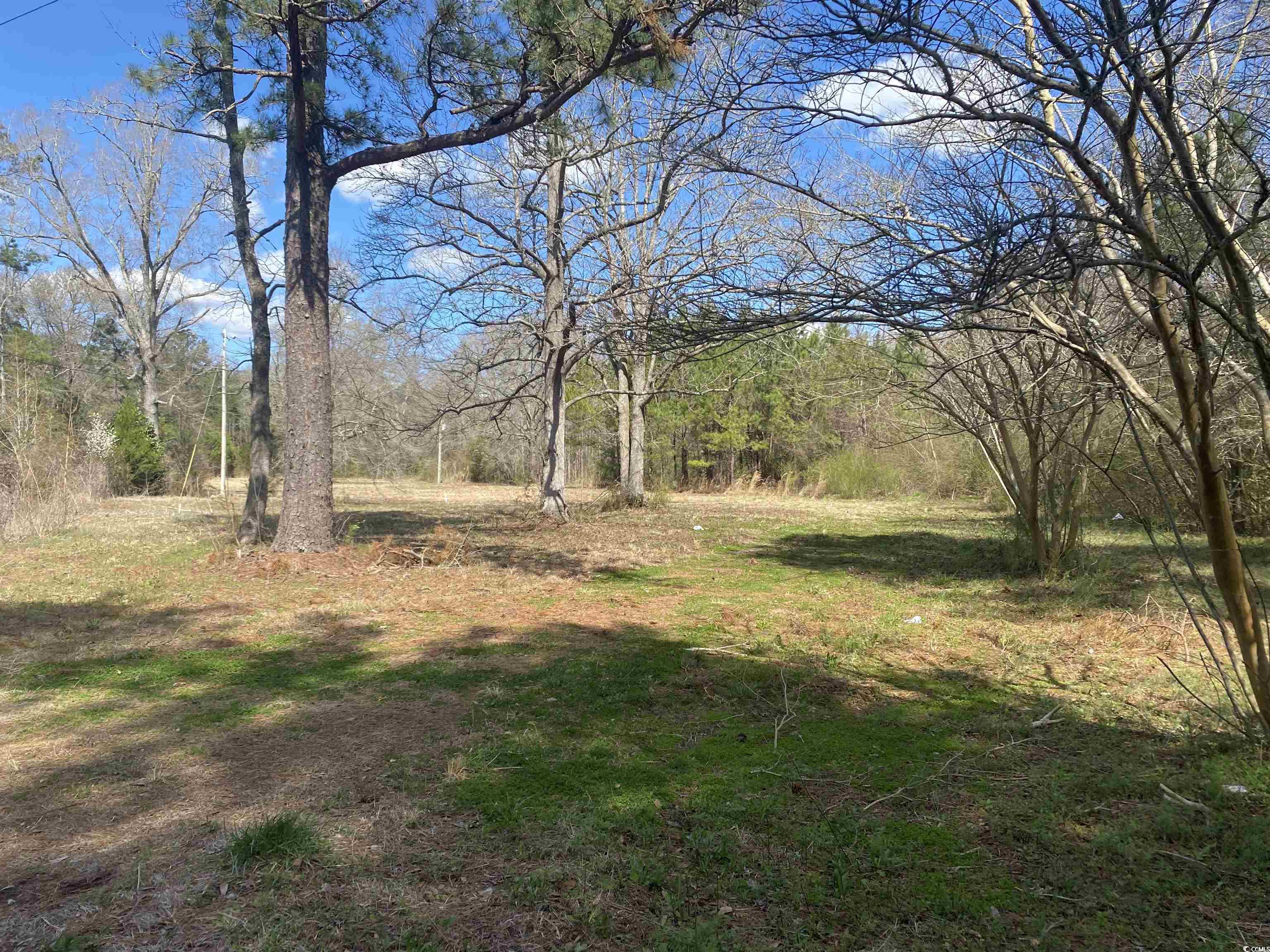 81 Freedom Rd. Property Photo