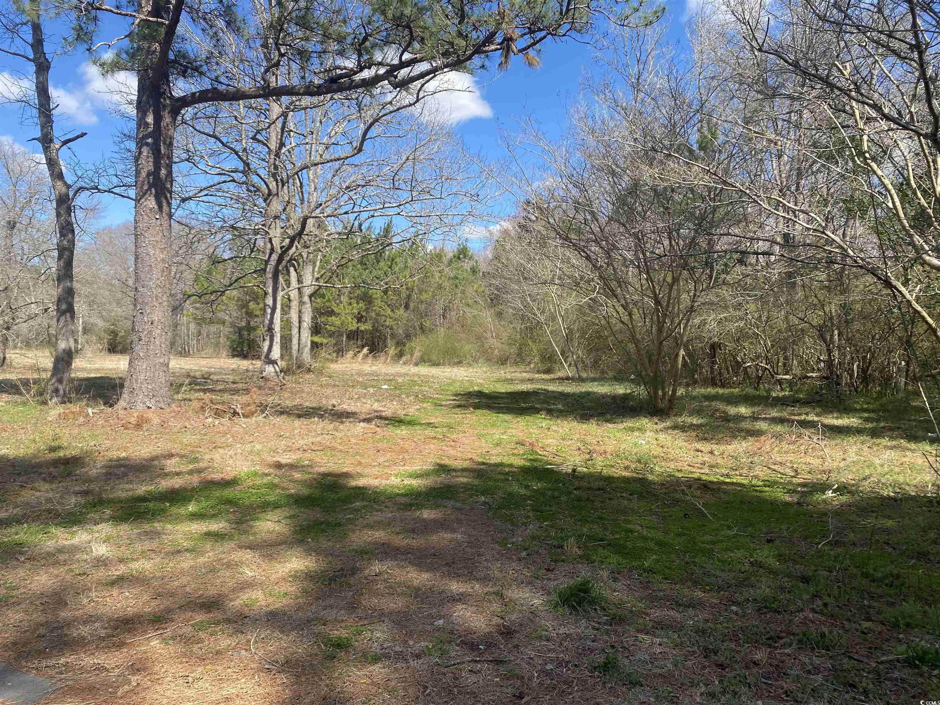 81 Freedom Rd. Property Photo 2