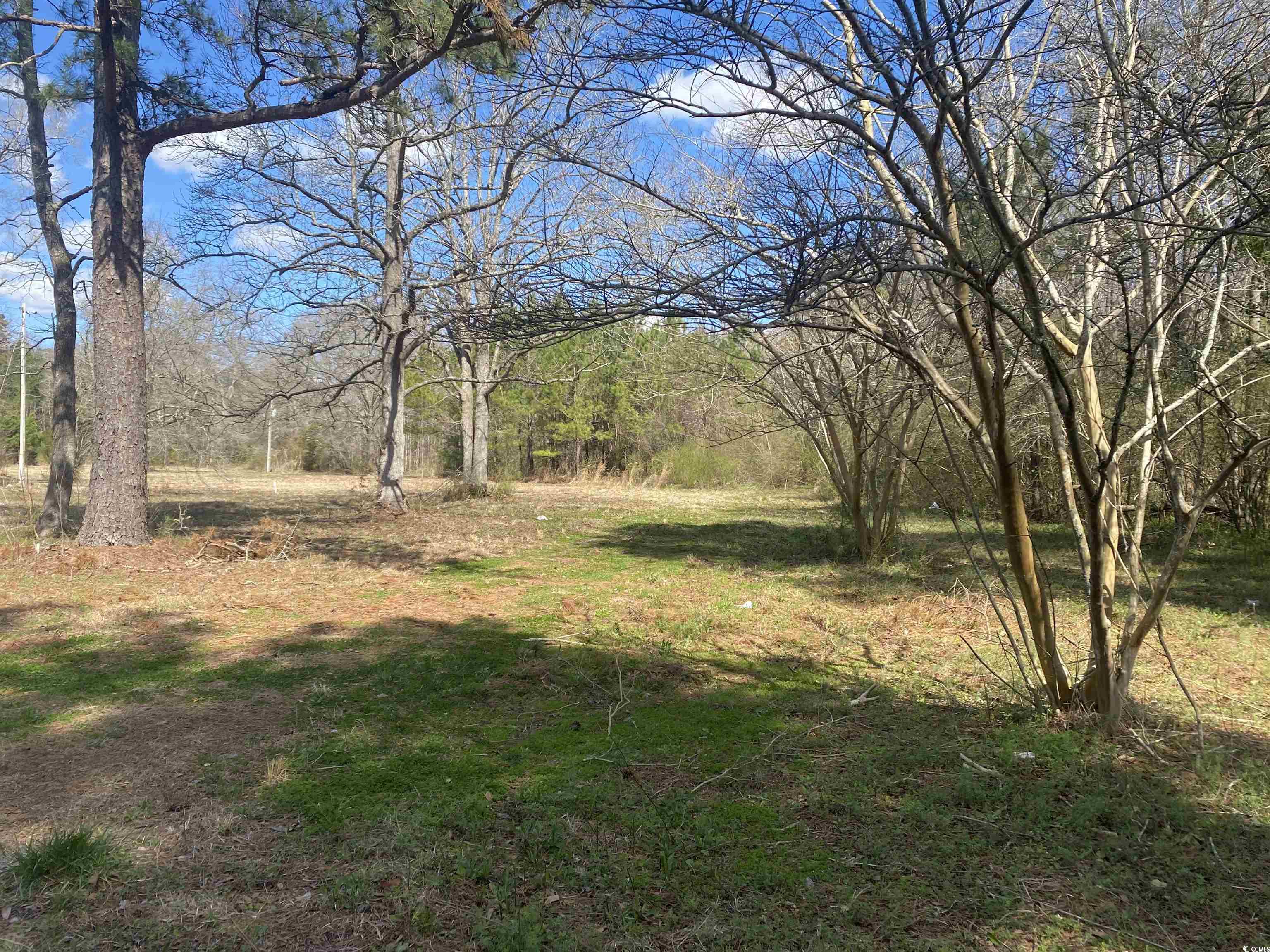 81 Freedom Rd. Property Photo 3
