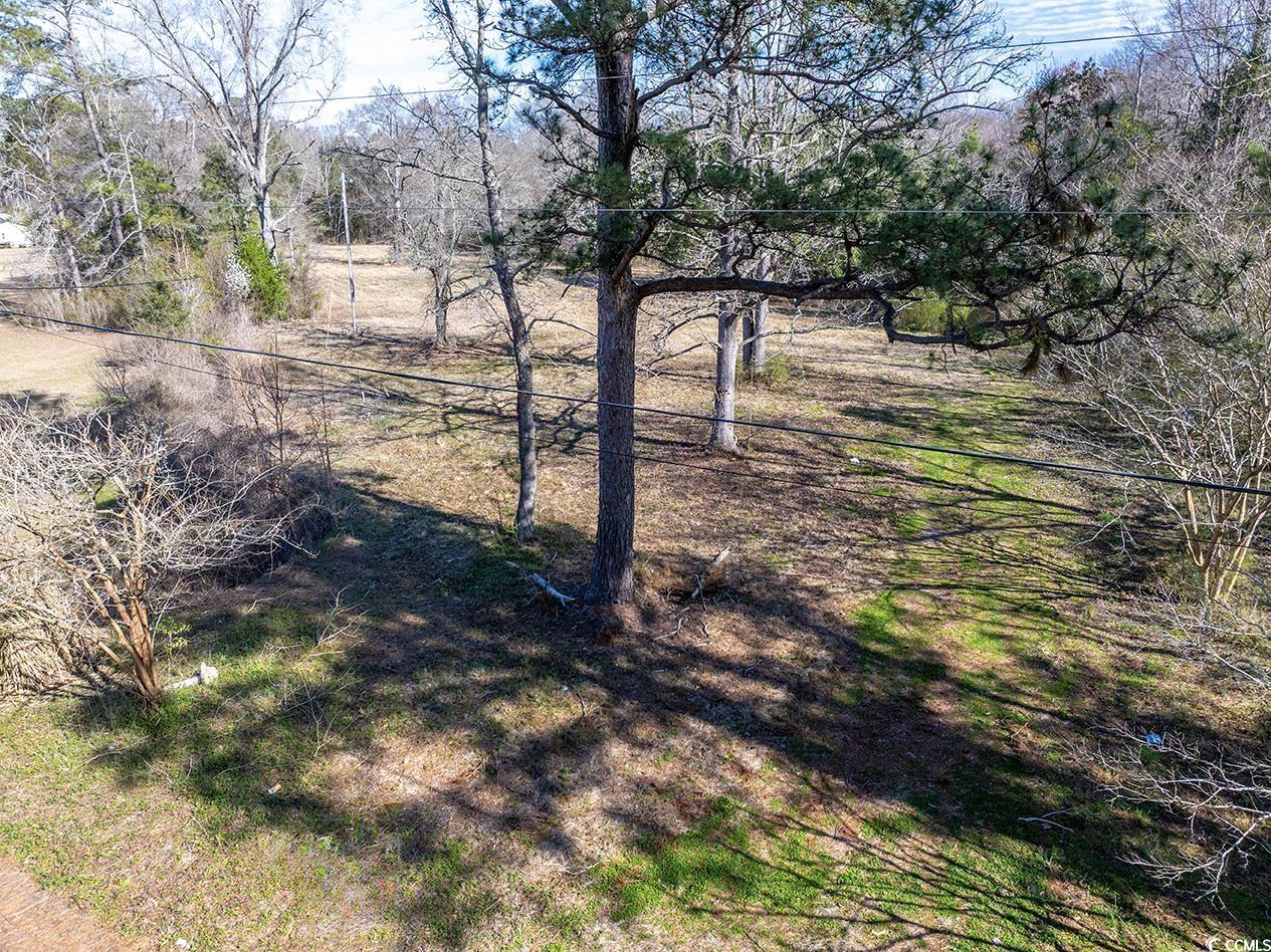 81 Freedom Rd. Property Photo 4