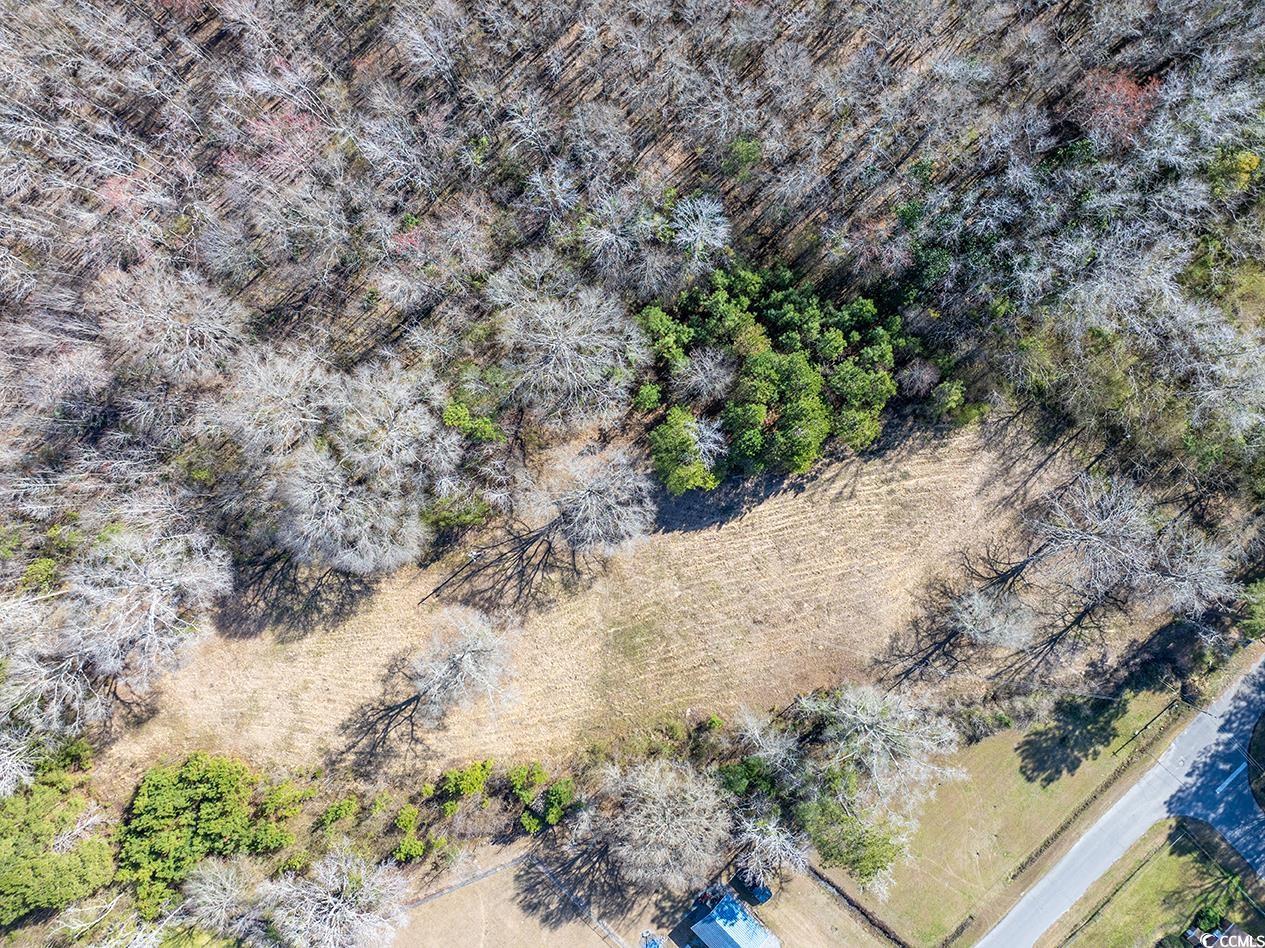 81 Freedom Rd. Property Photo 14