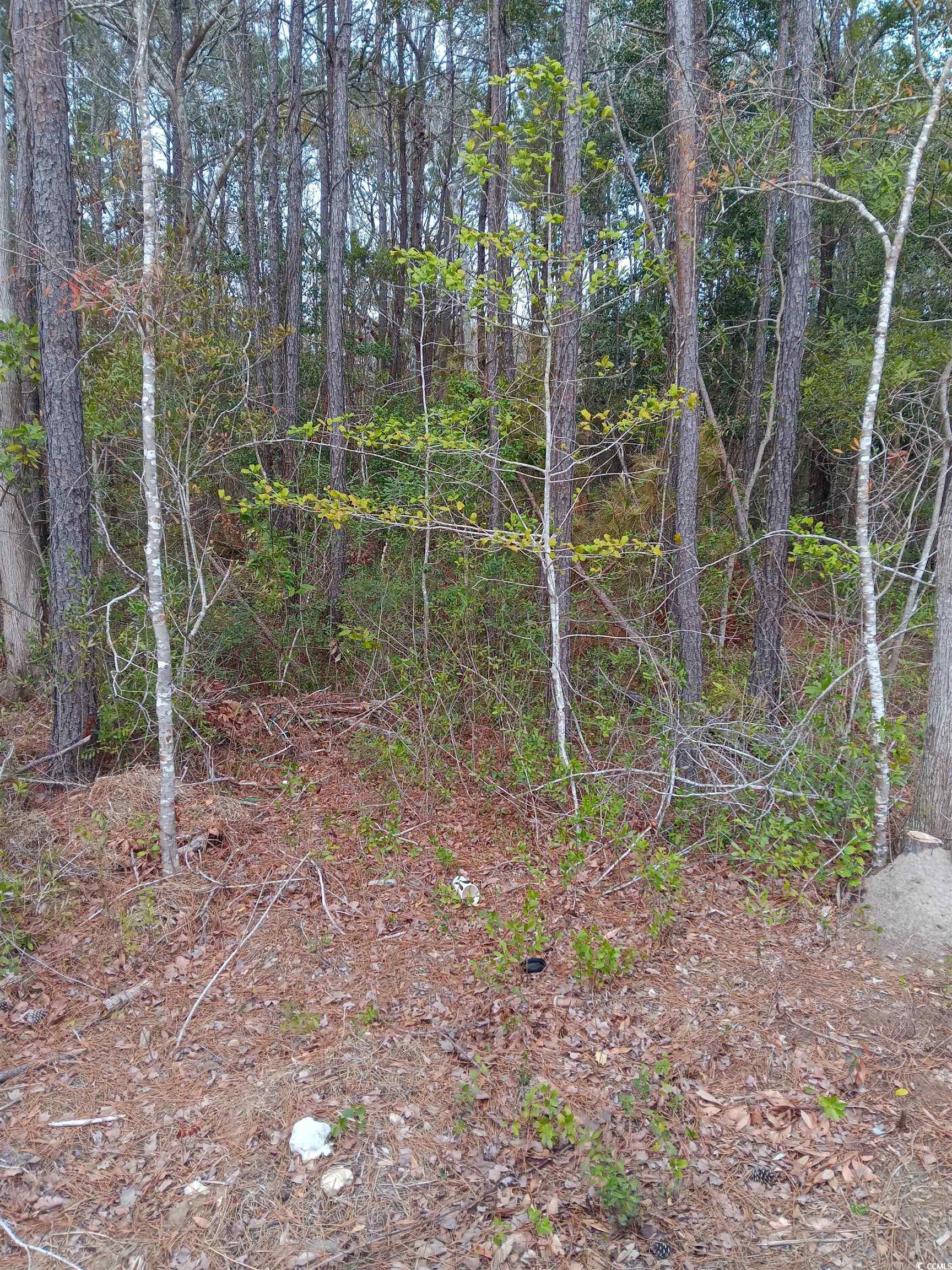 Tbd Sean River Rd. Property Photo