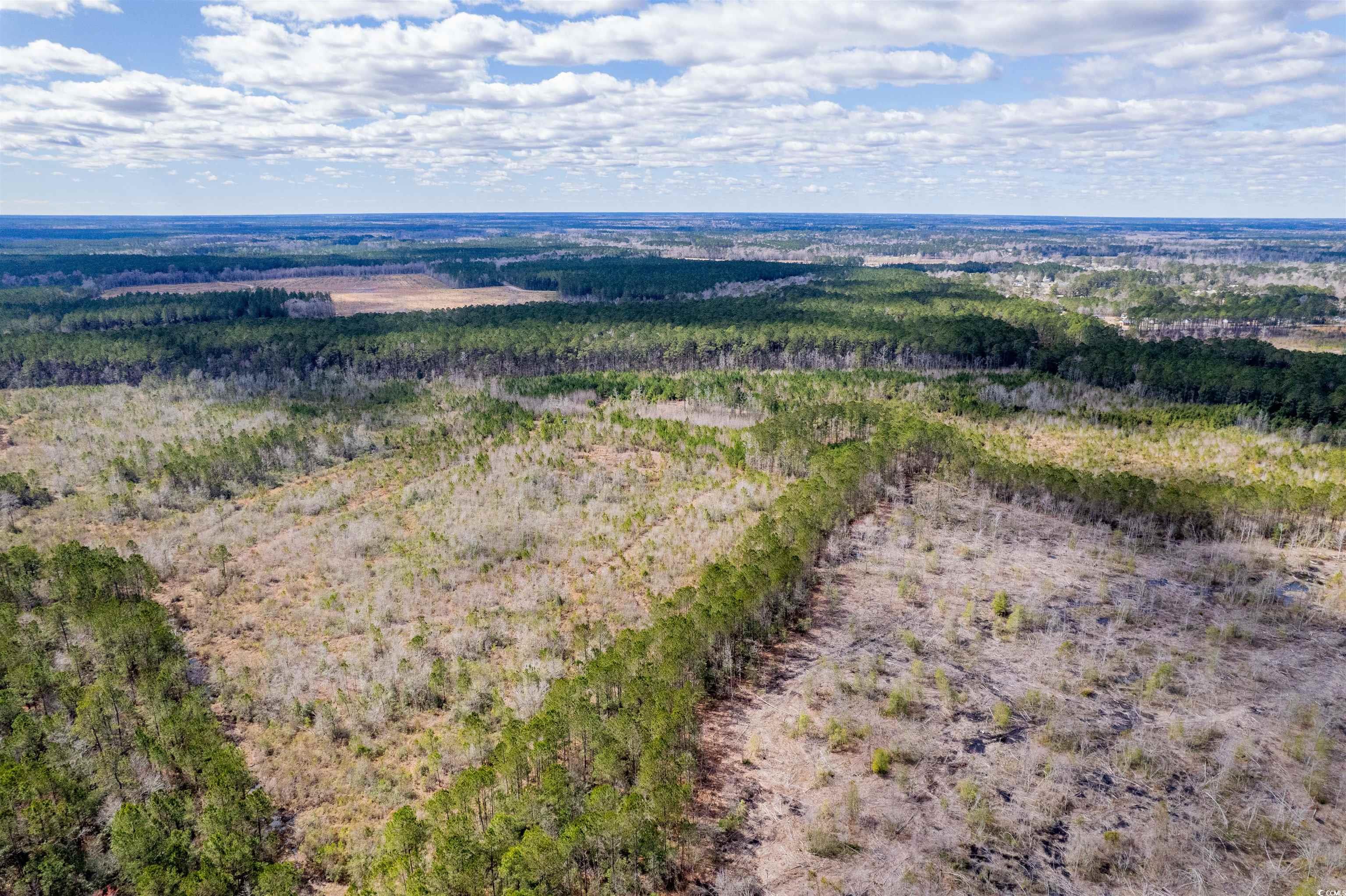 Tbd Highway 905 Property Photo 3