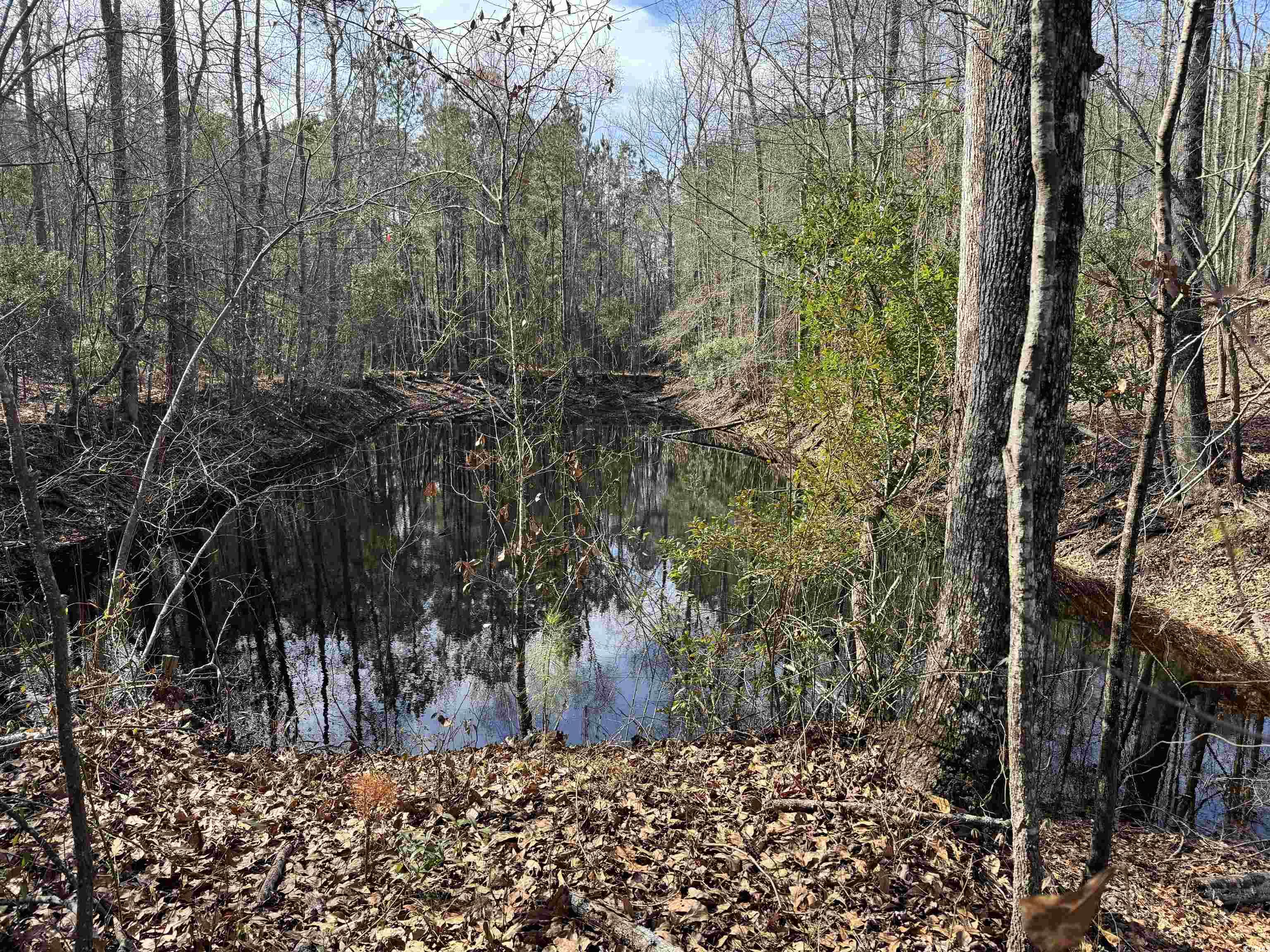 Tbd Copeland Moody Rd. Property Photo 2