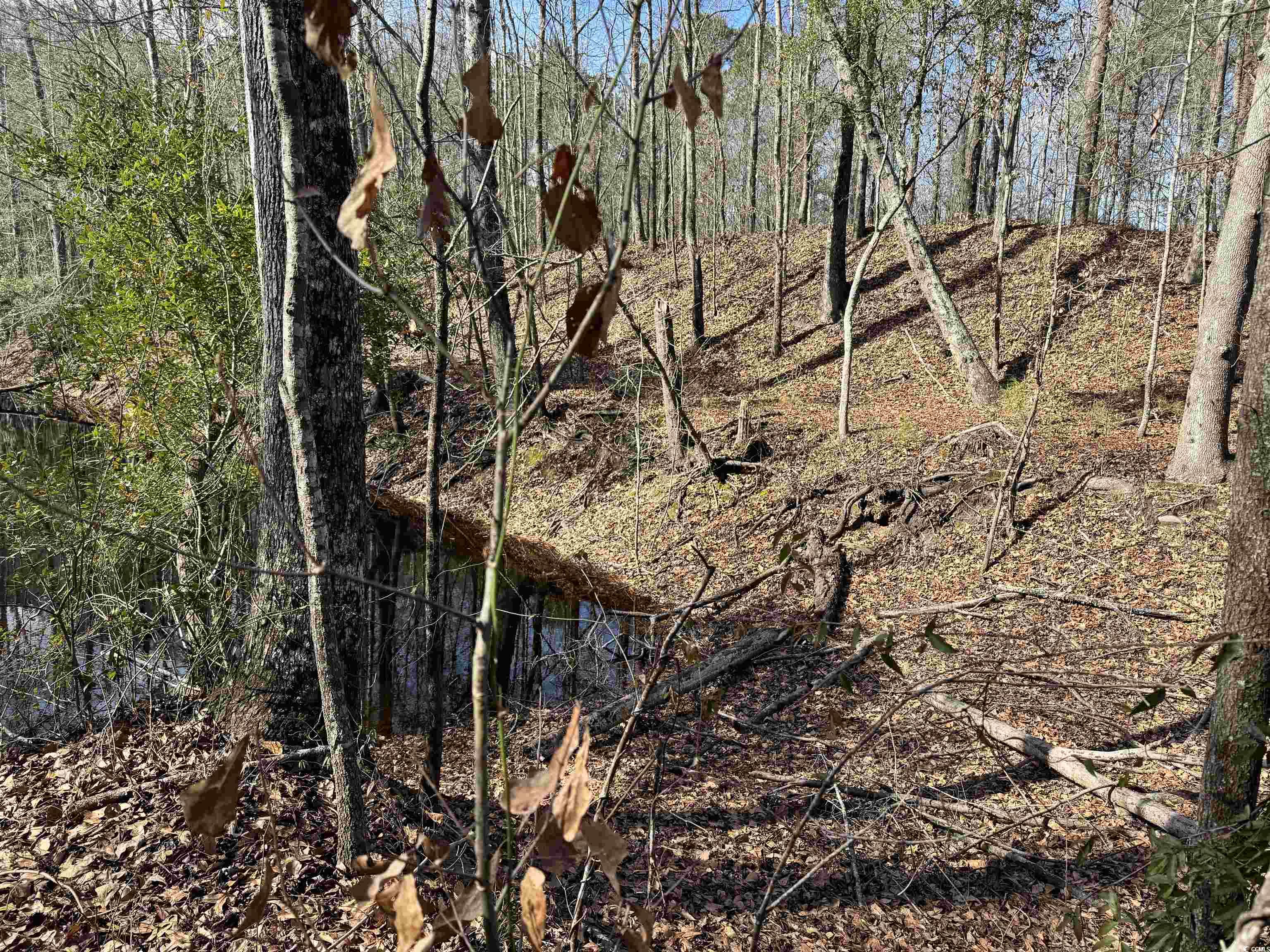 Tbd Copeland Moody Rd. Property Photo 4