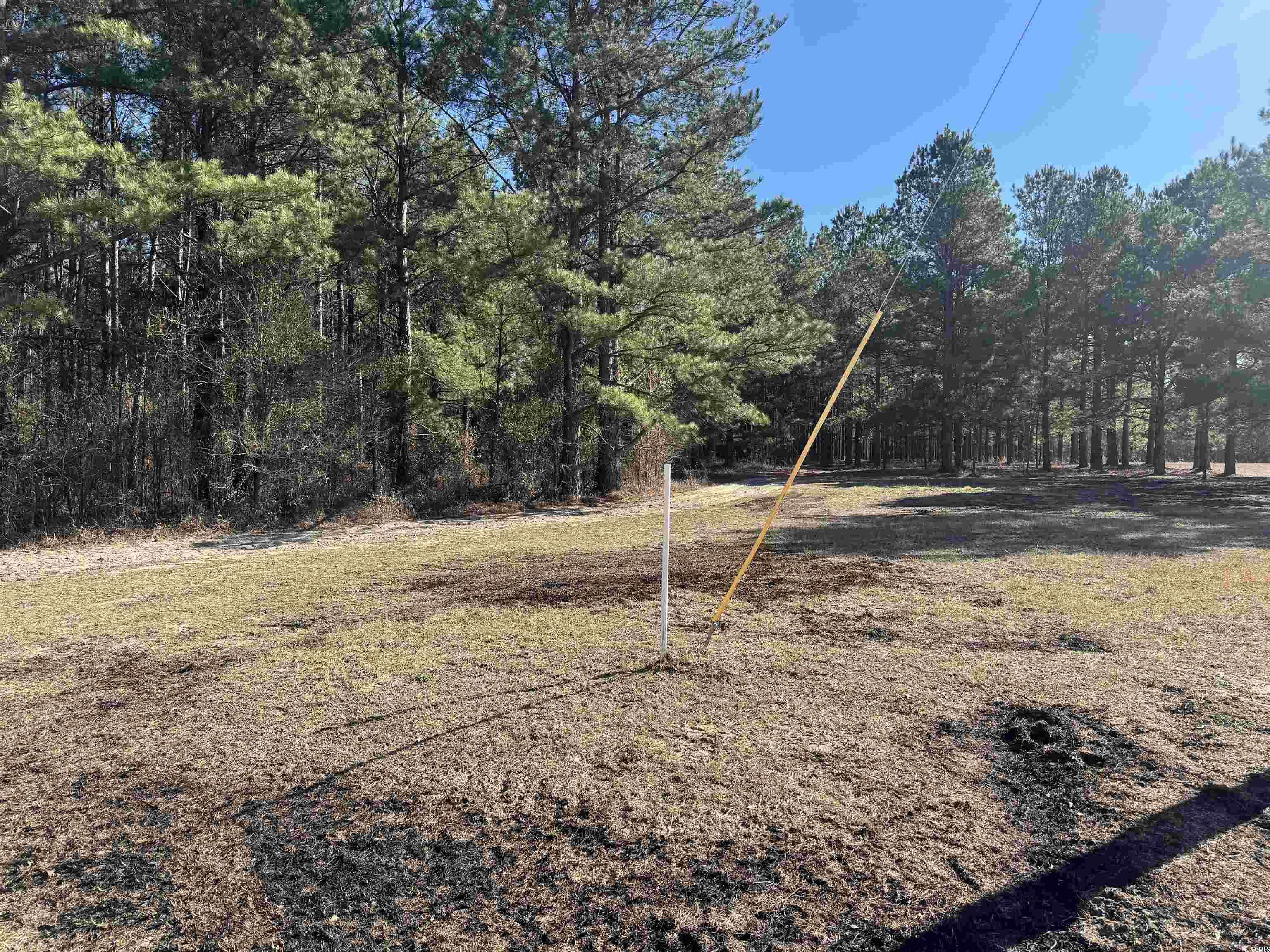 Tbd Copeland Moody Rd. Property Photo 6
