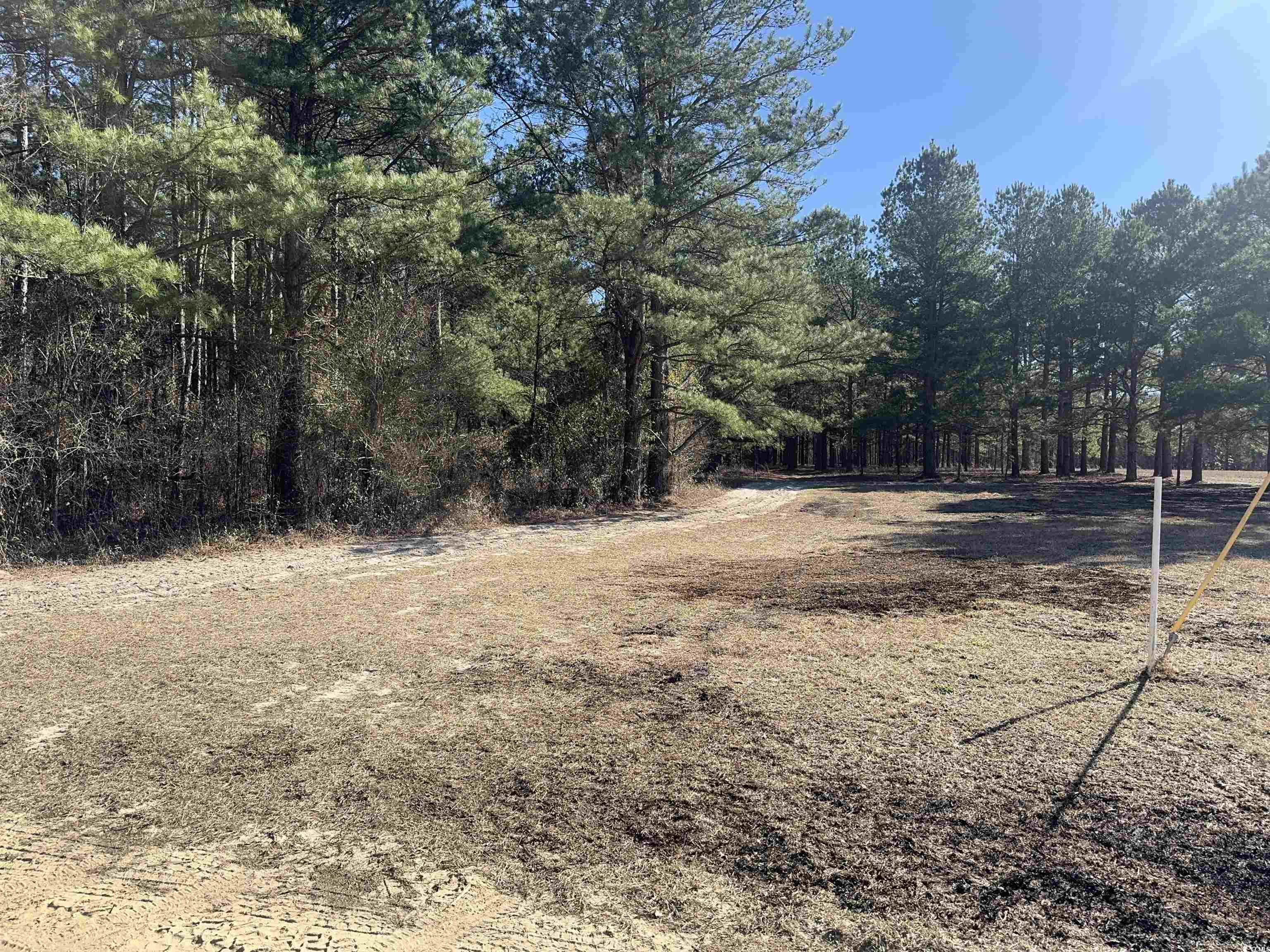 Tbd Copeland Moody Rd. Property Photo 7