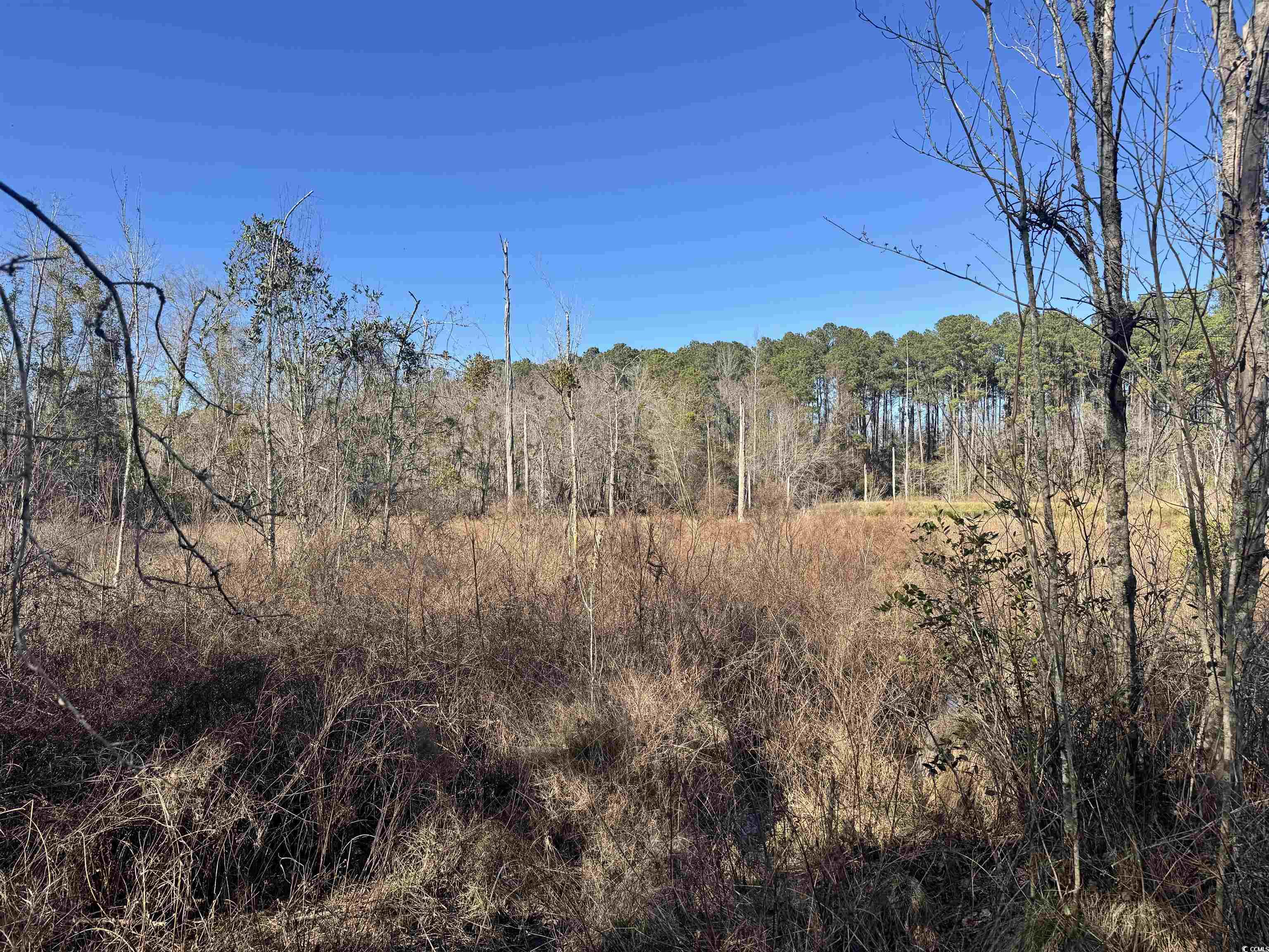 Tbd Copeland Moody Rd. Property Photo 8