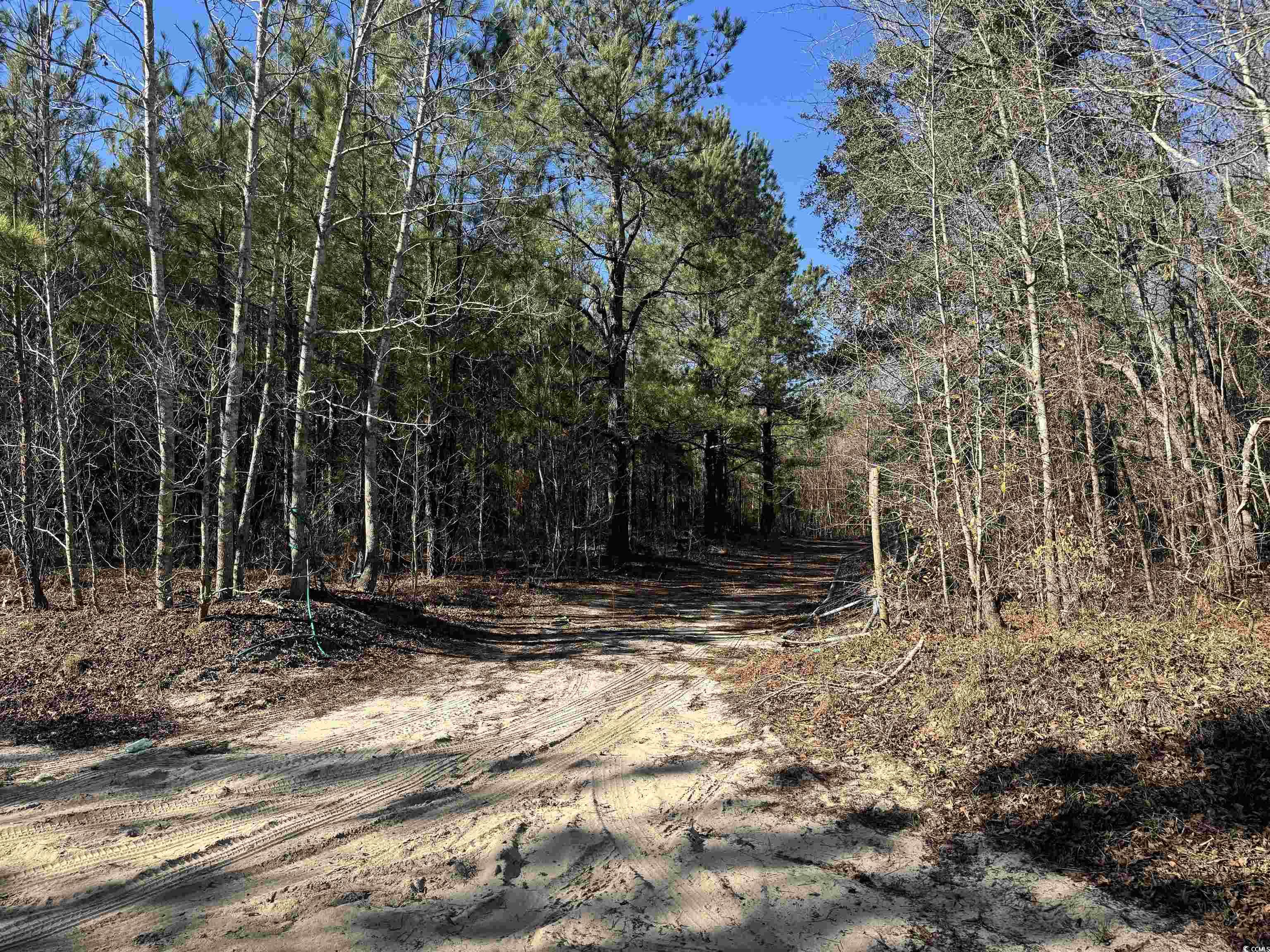 Tbd Copeland Moody Rd. Property Photo 9