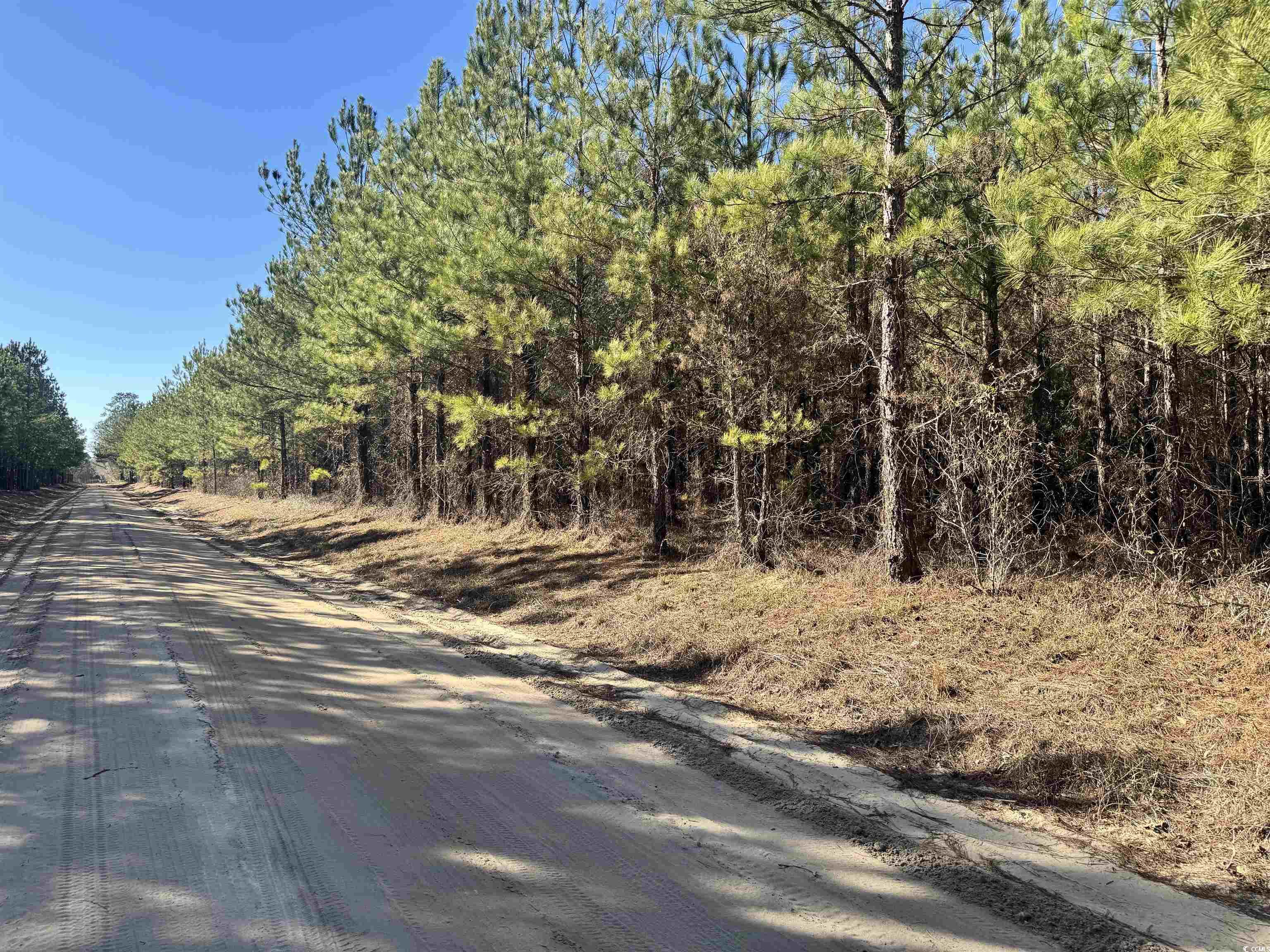 Tbd Copeland Moody Rd. Property Photo 10