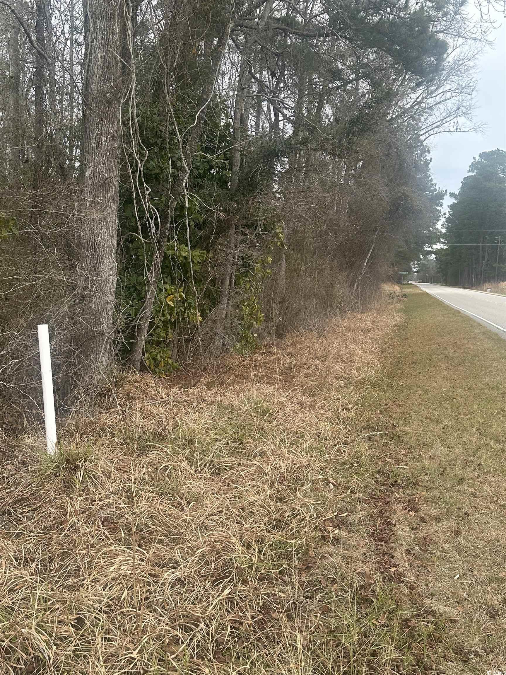 Tbd Pleasant View Church Rd. Property Photo 3