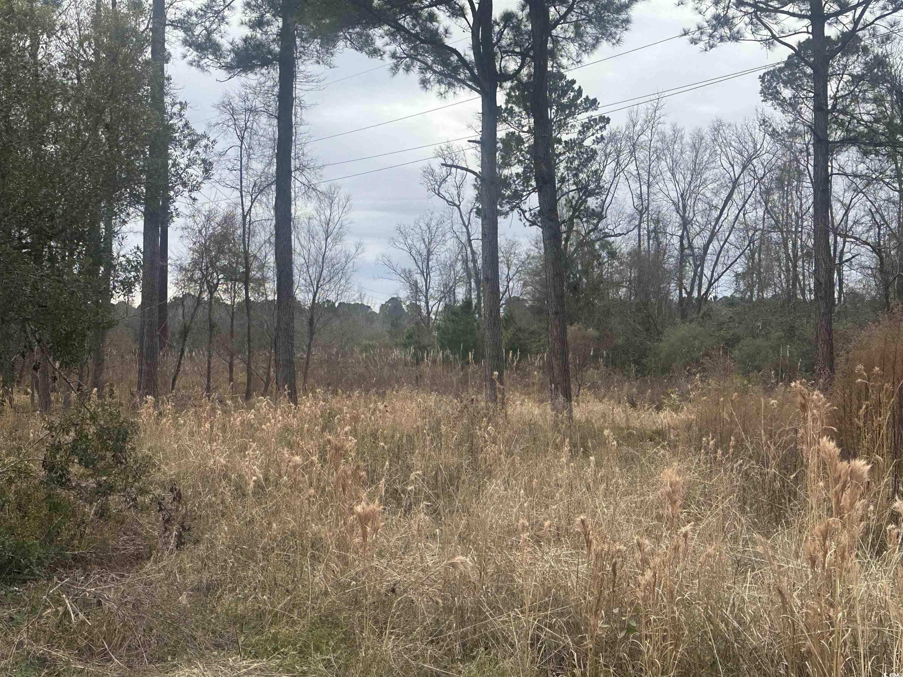 Tbd Pleasant View Church Rd. Property Photo 4