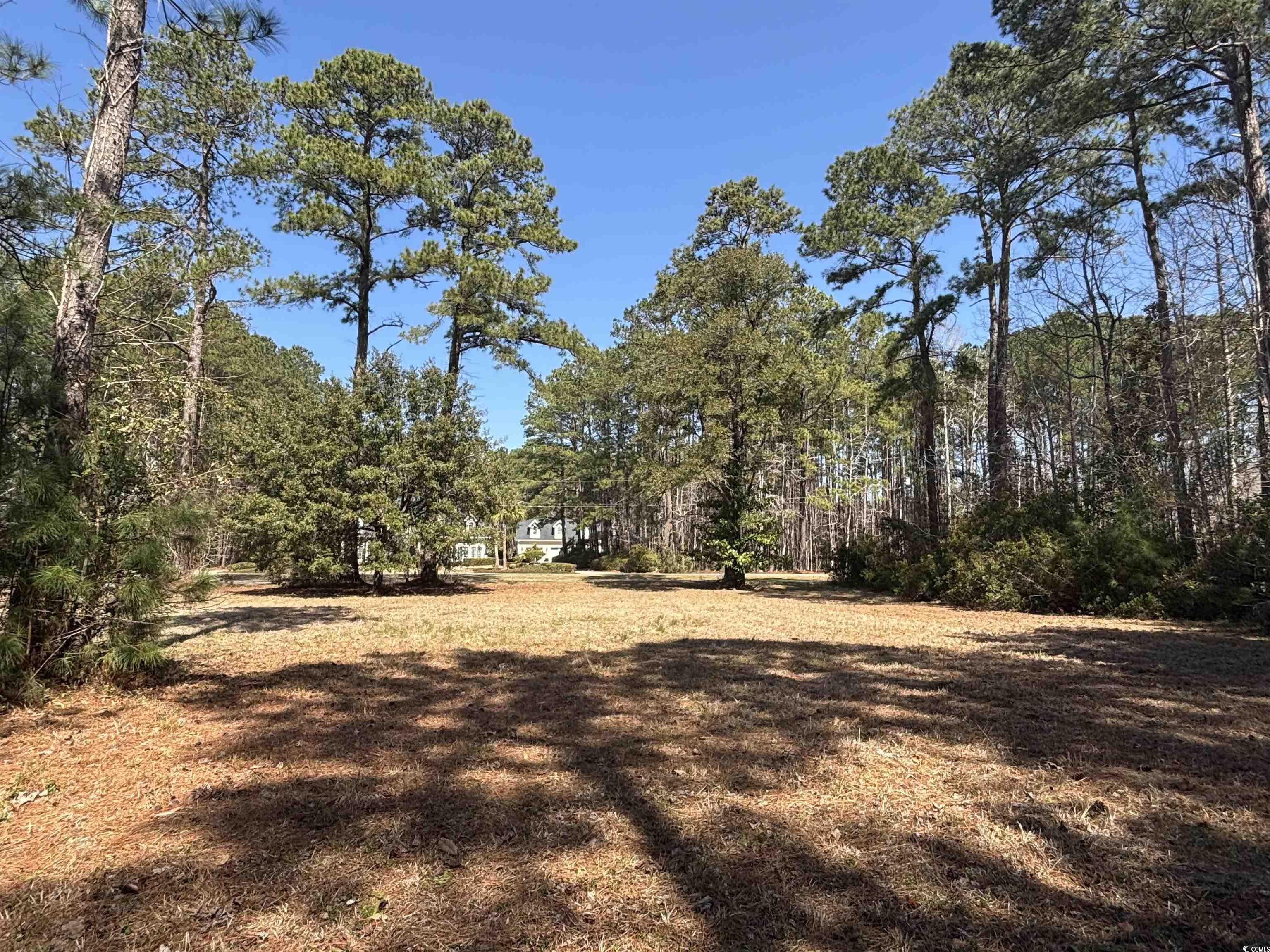 1803 Running Water Dr. Property Photo 2