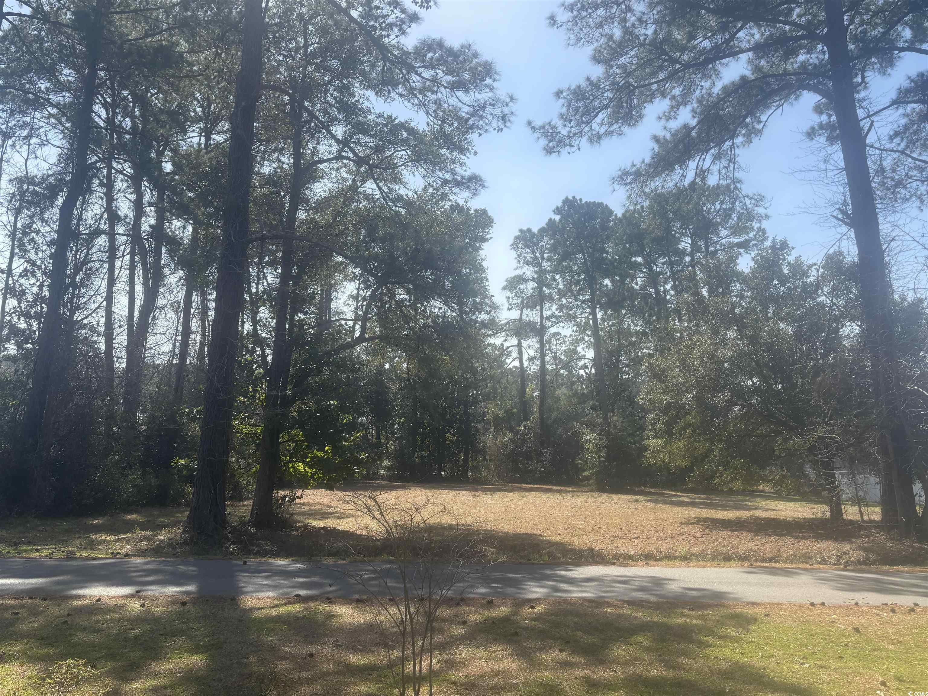 1803 Running Water Dr. Property Photo 7