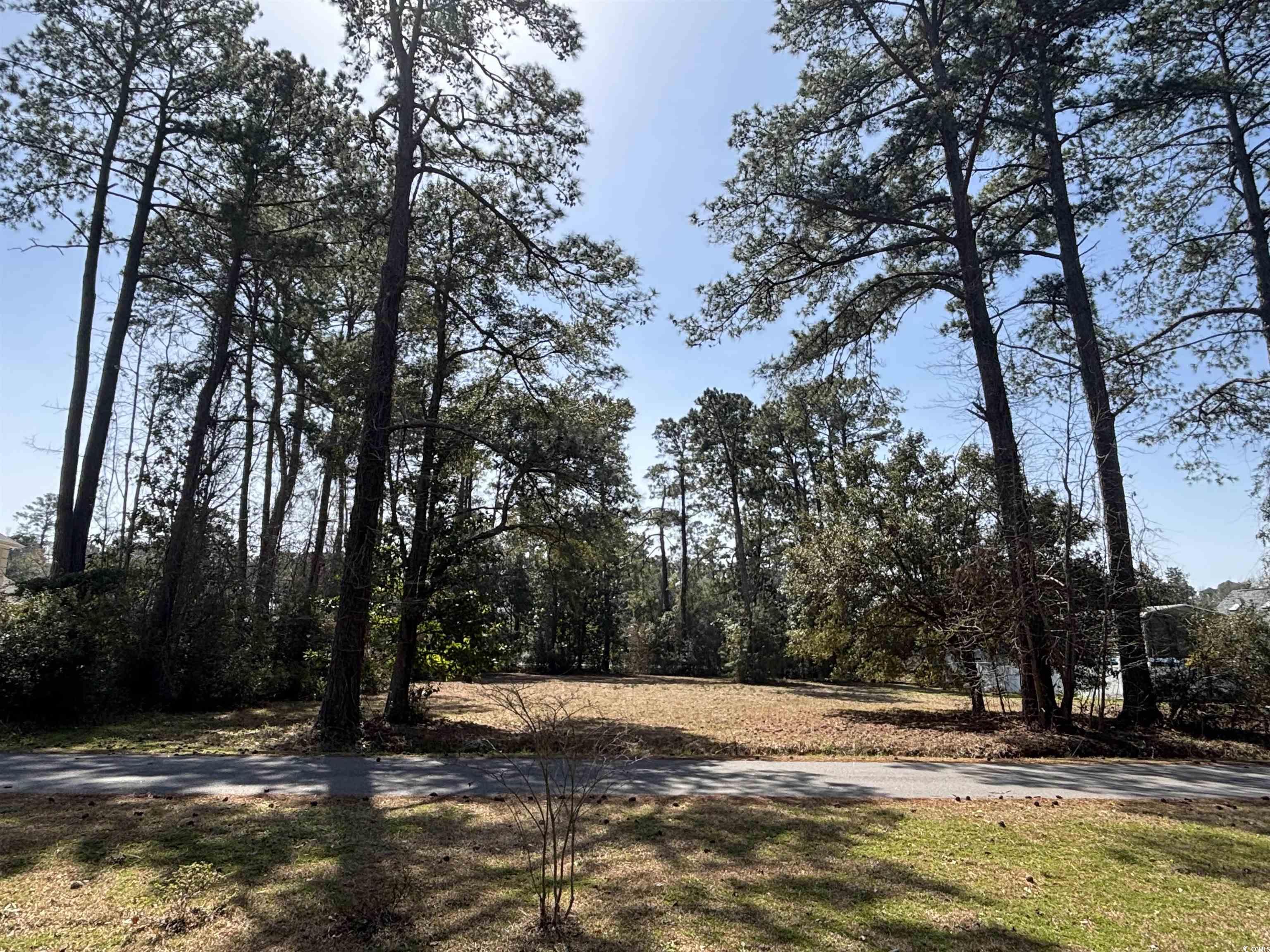 1803 Running Water Dr. Property Photo 10