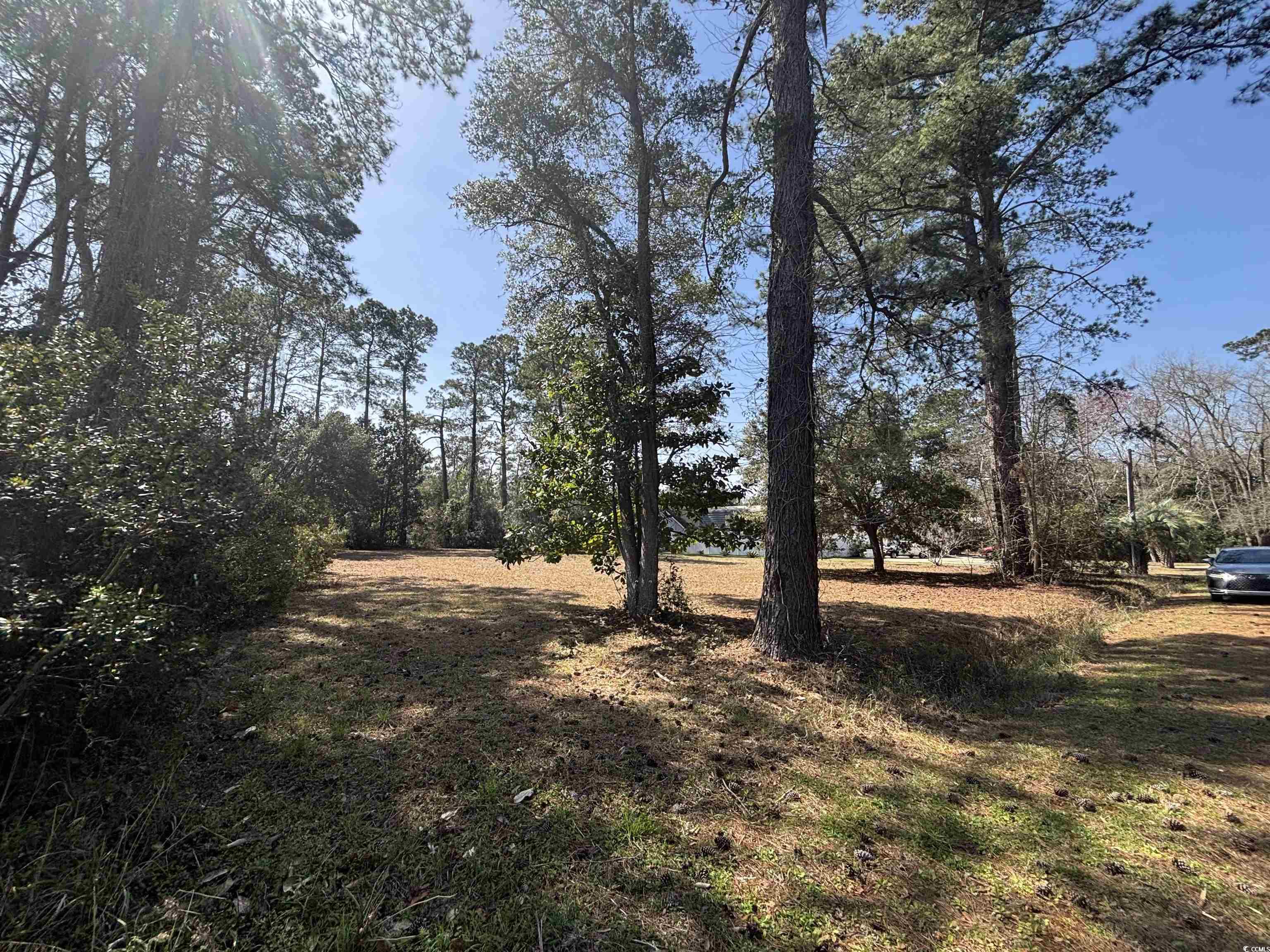 1803 Running Water Dr. Property Photo 11
