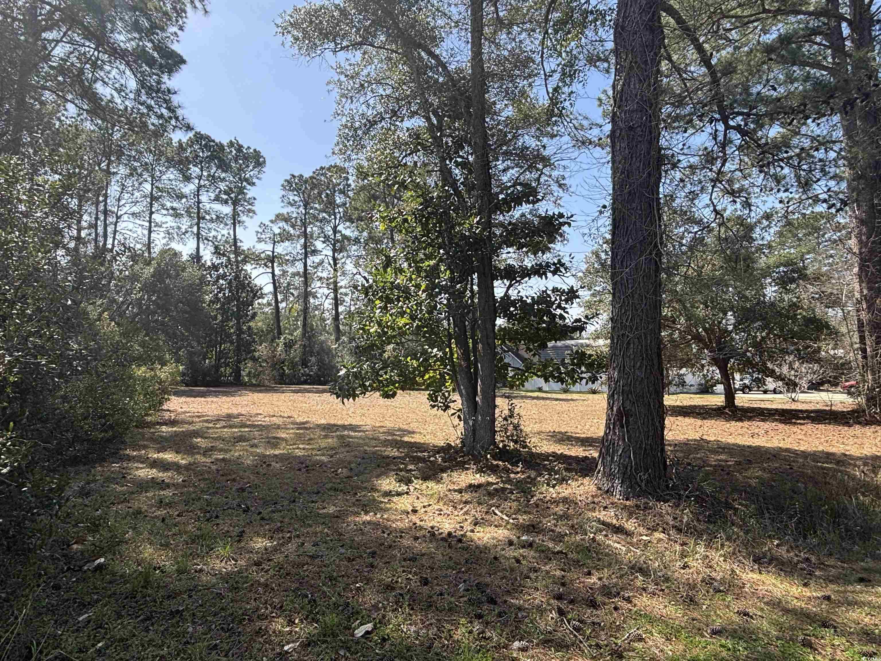 1803 Running Water Dr. Property Photo 12