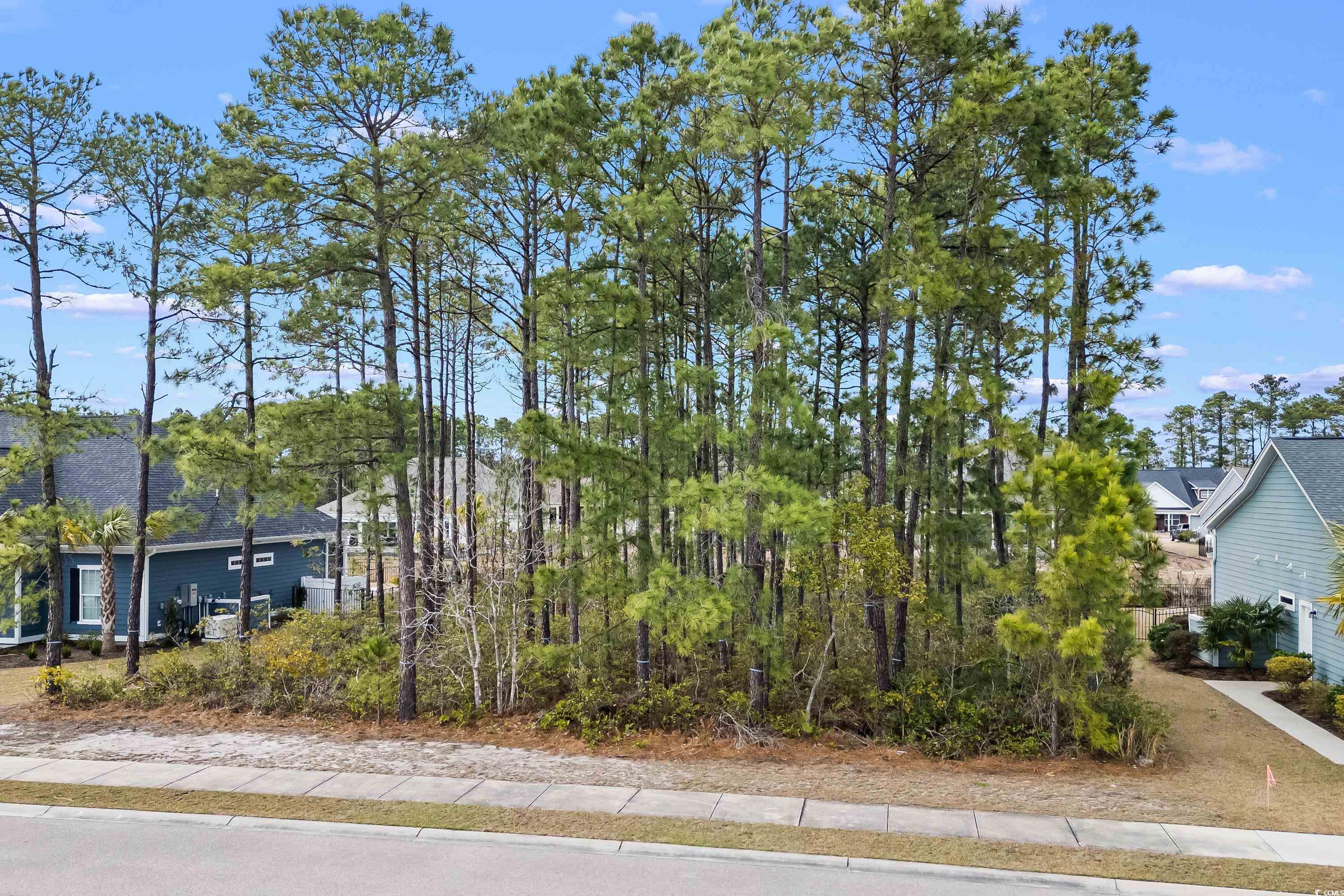 729 Jade Dr. Property Photo 28