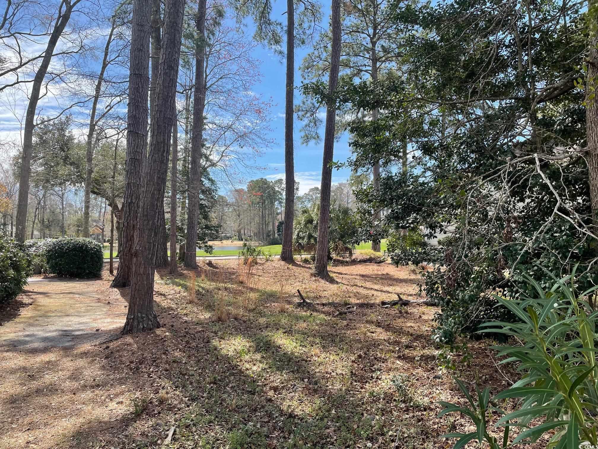 138 Turtle Creek Dr. Property Photo 3