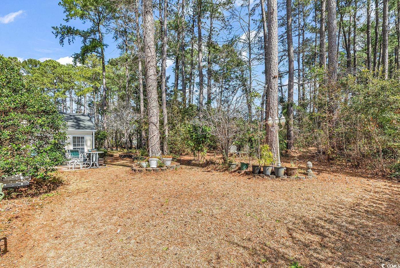 3026 Cedar Creek Run Property Photo 32